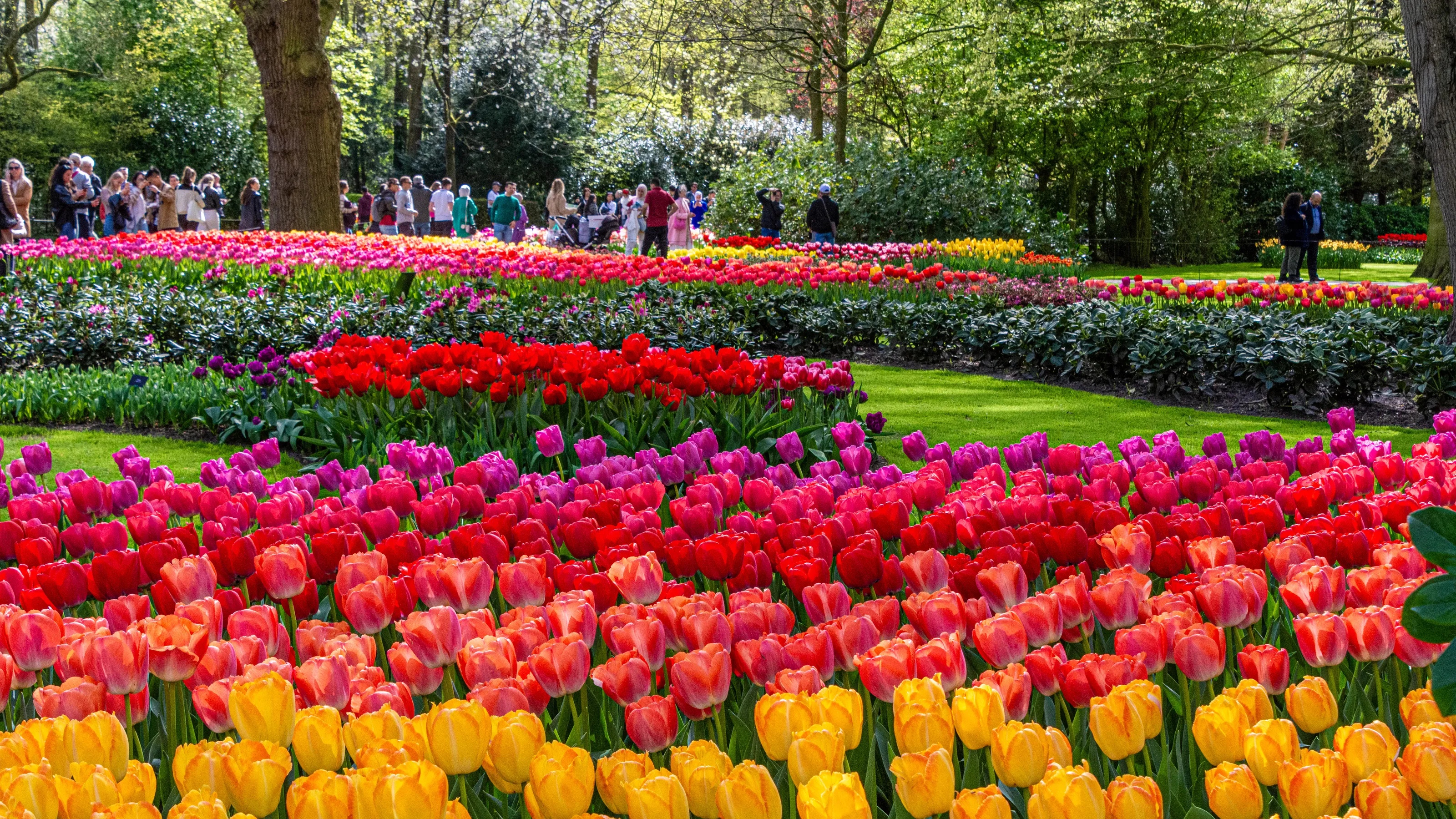 Public Gardens (in colour)