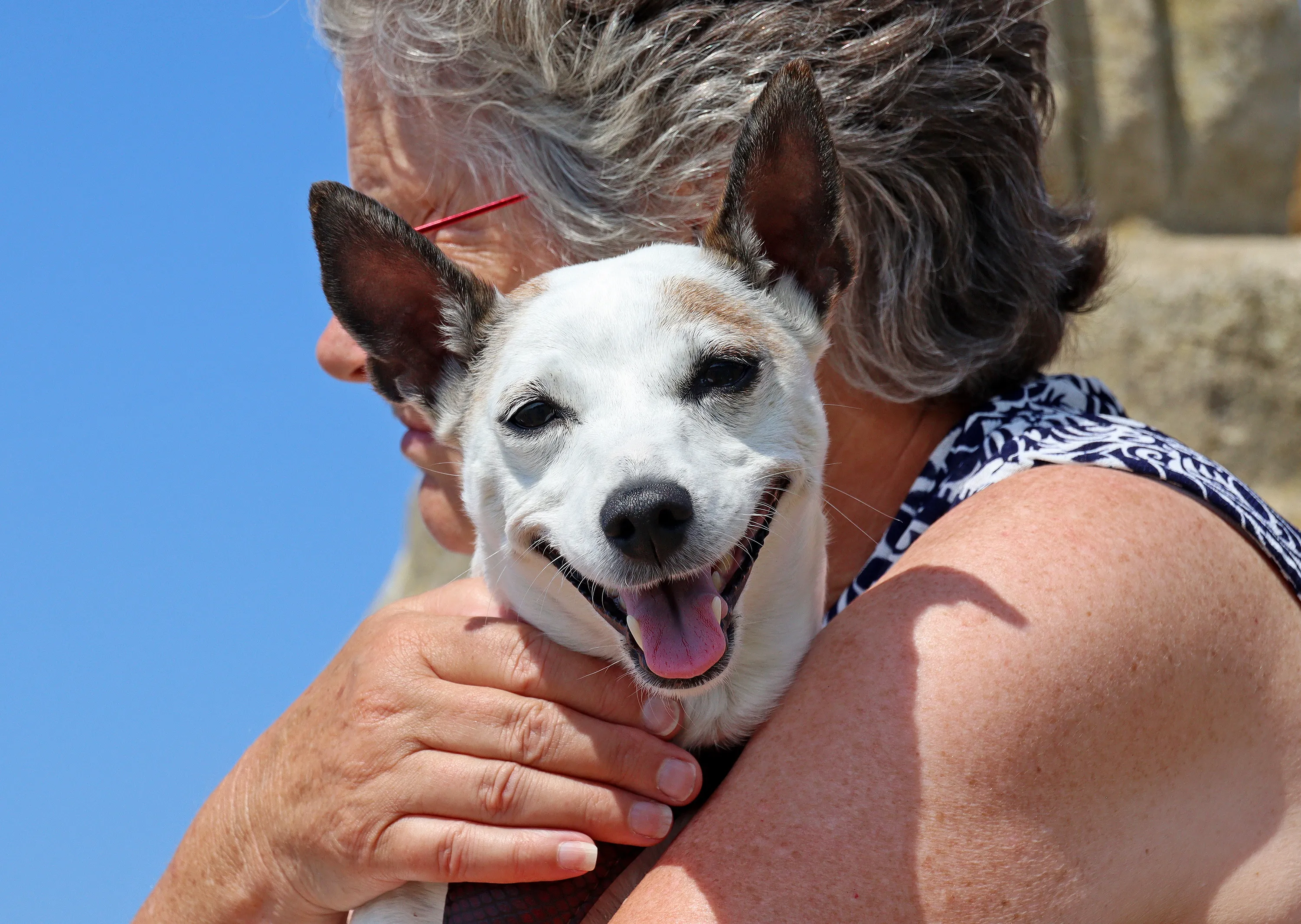Dogs Smiling