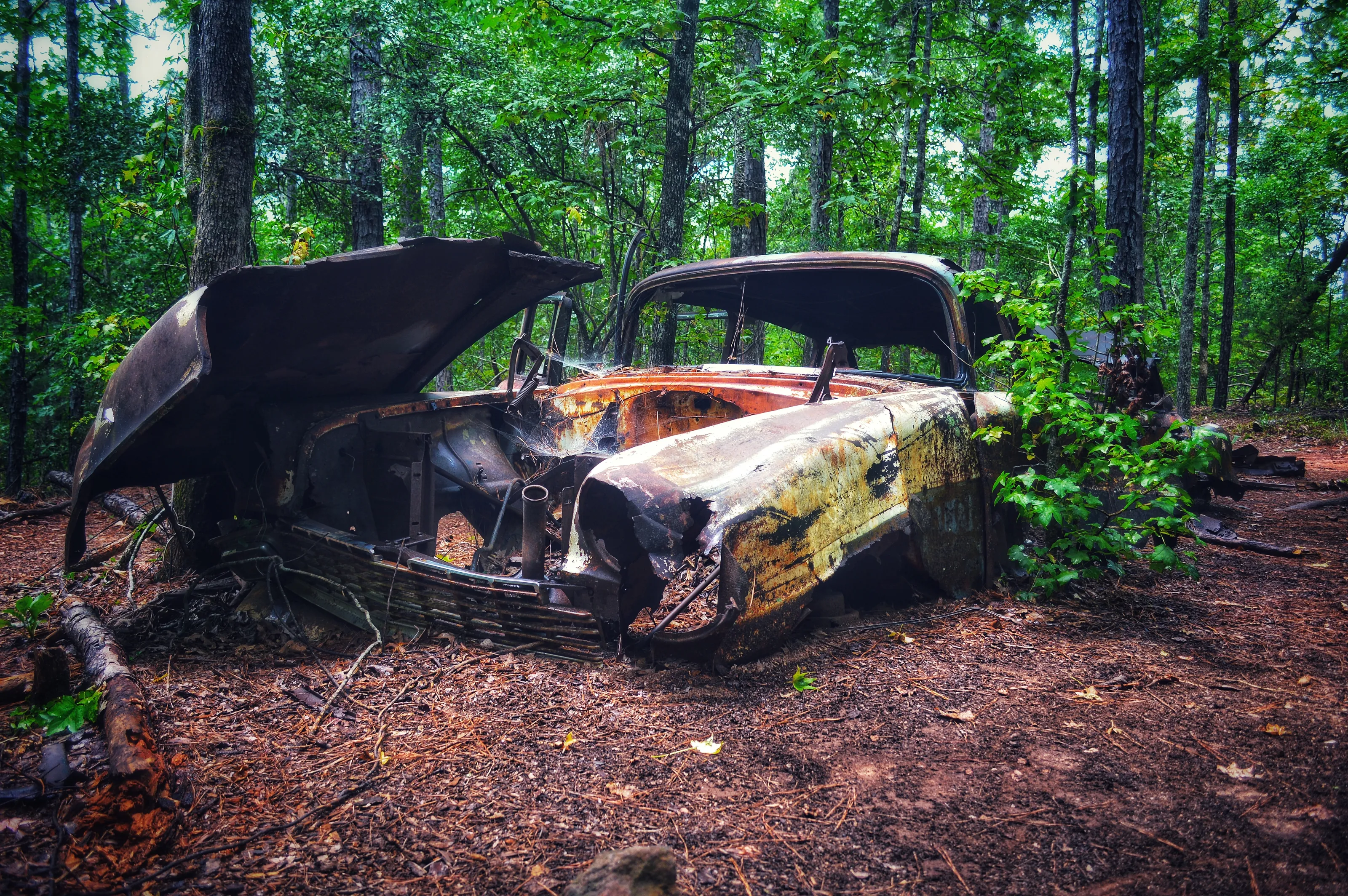 Old Abandoned Cars