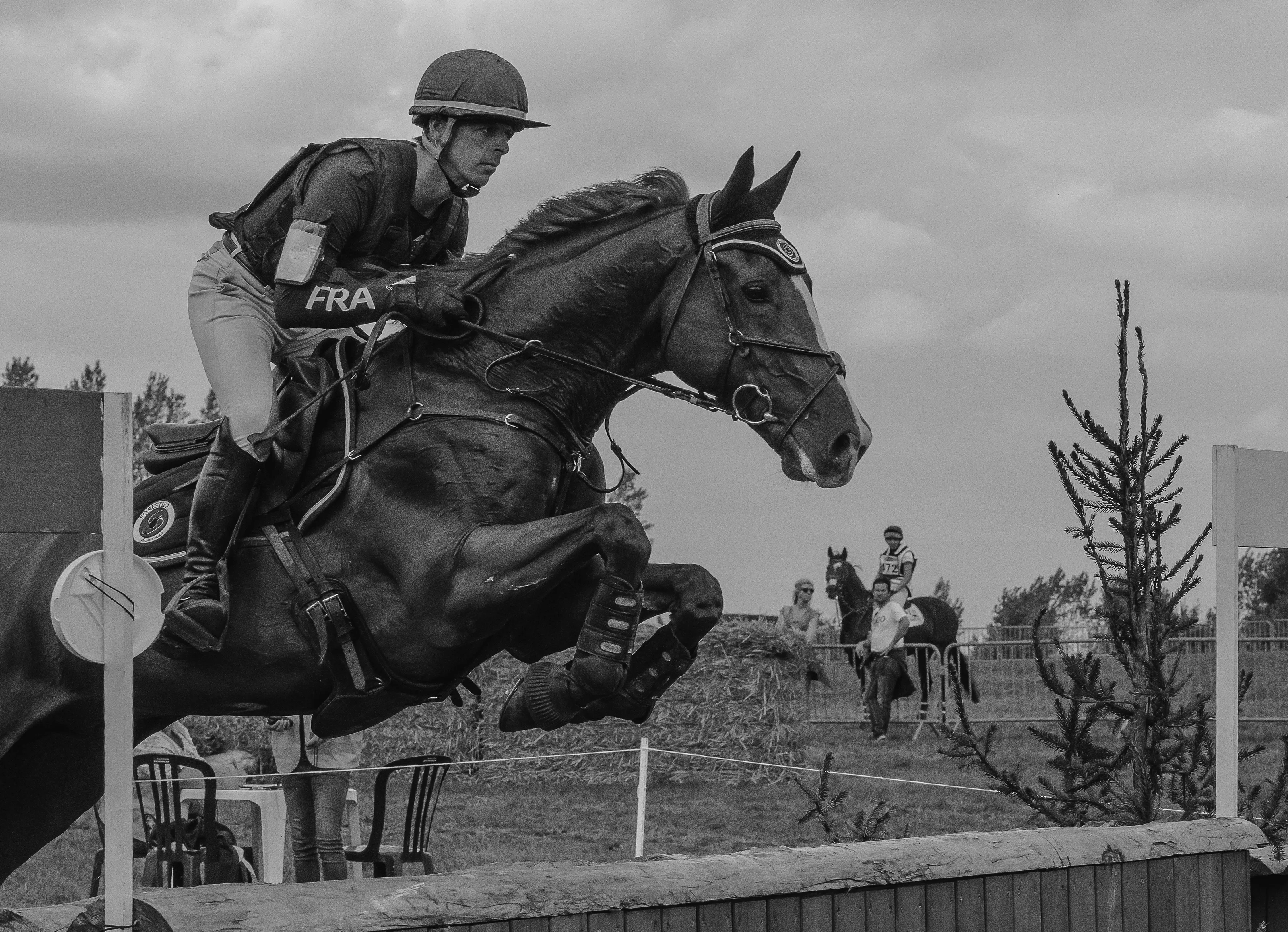 Horses Jumping