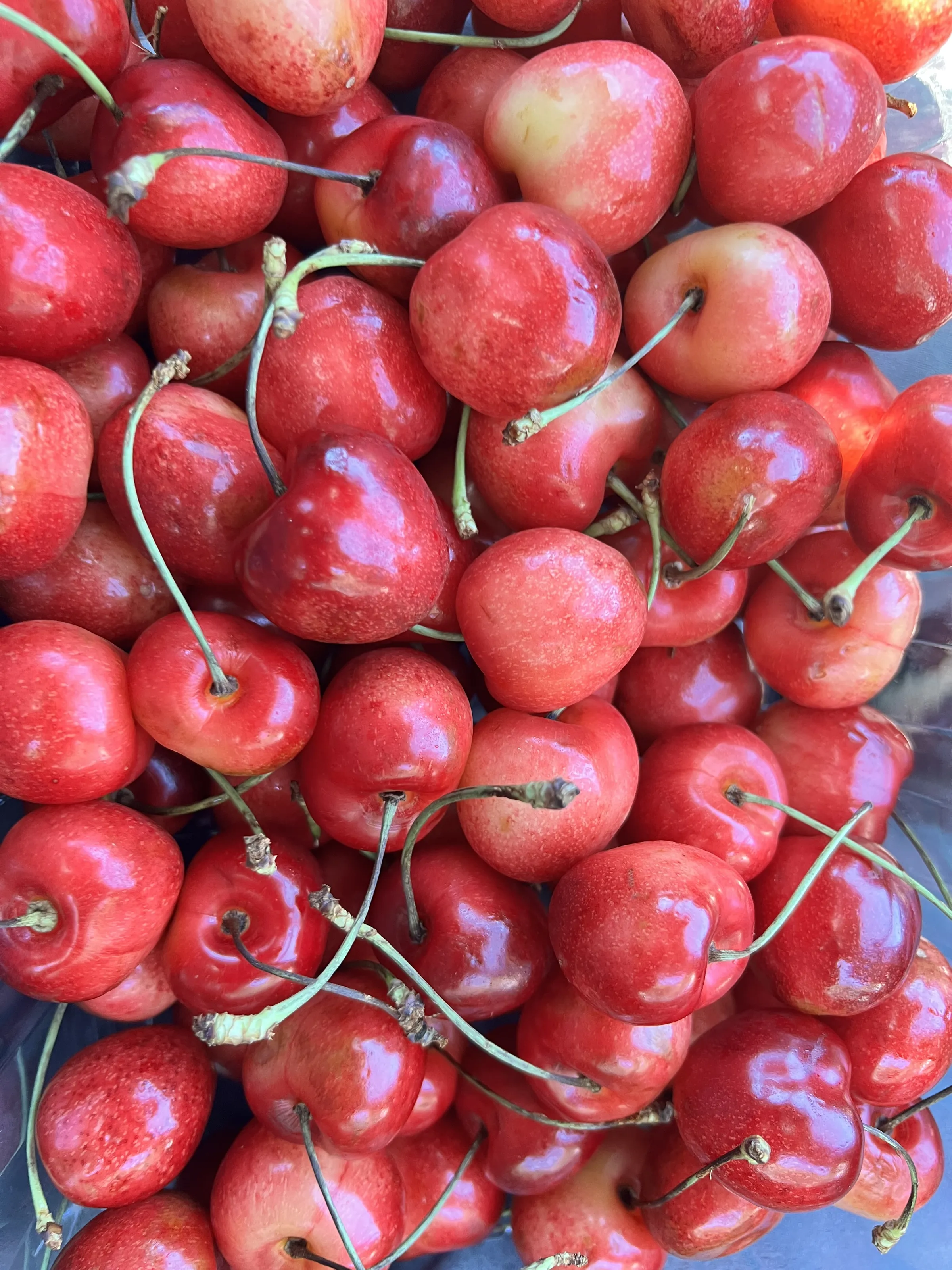 Fresh Fruit (in colour)