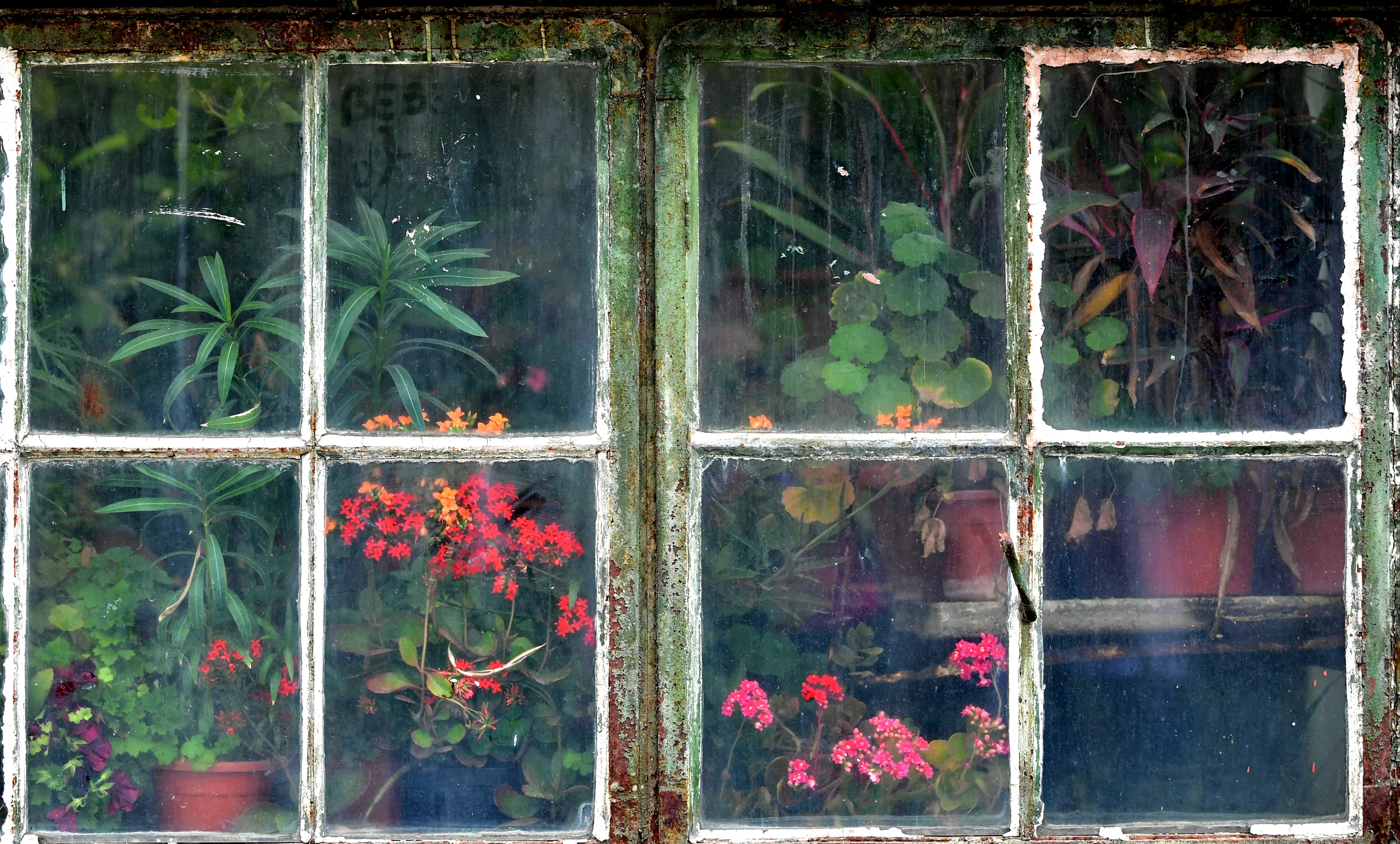 The Beauty of Dirty Old Windows