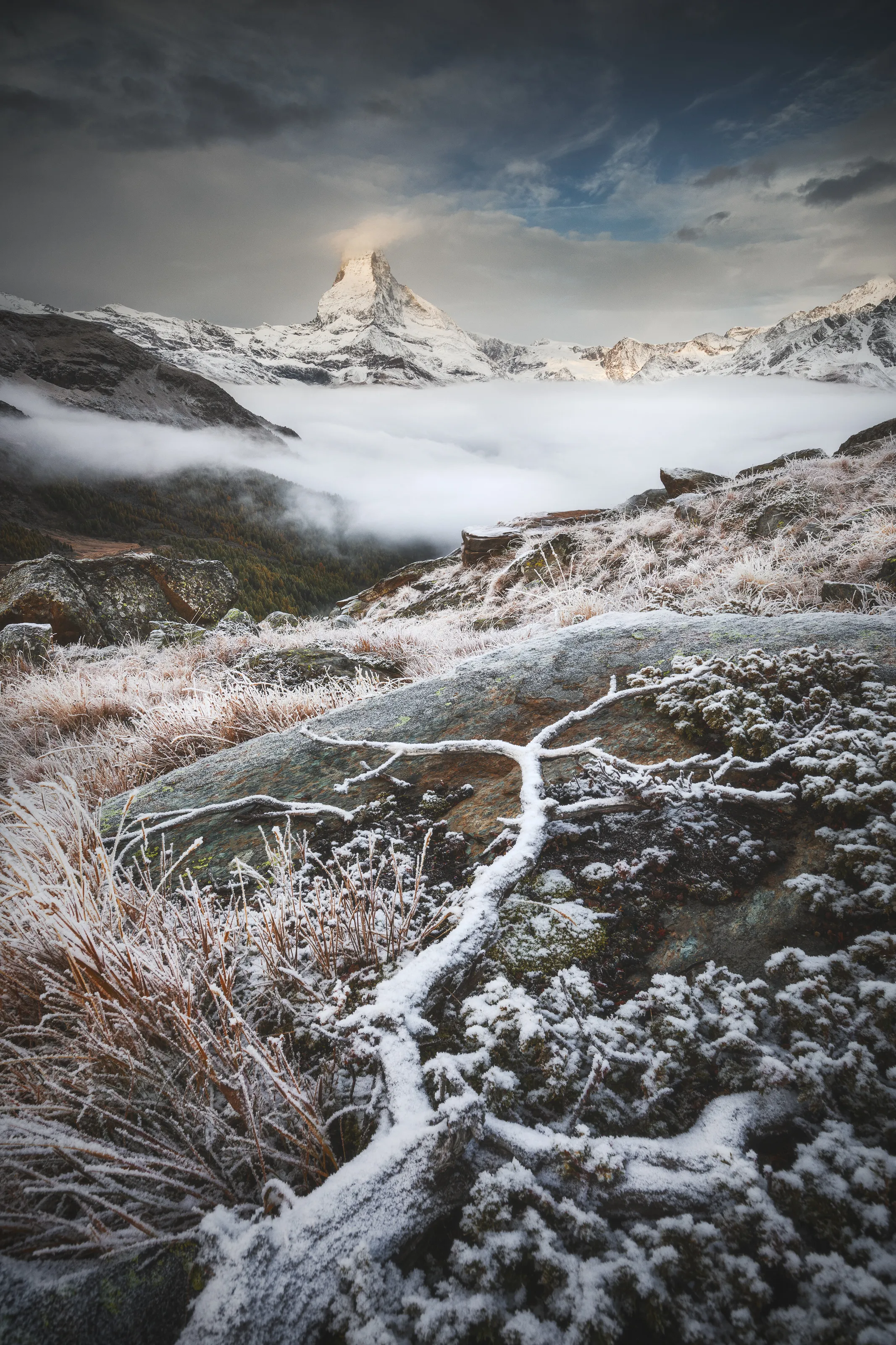 Landscapes in portrait format