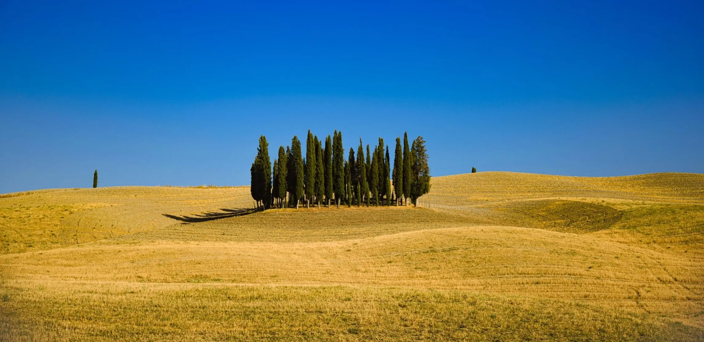 Blue skies