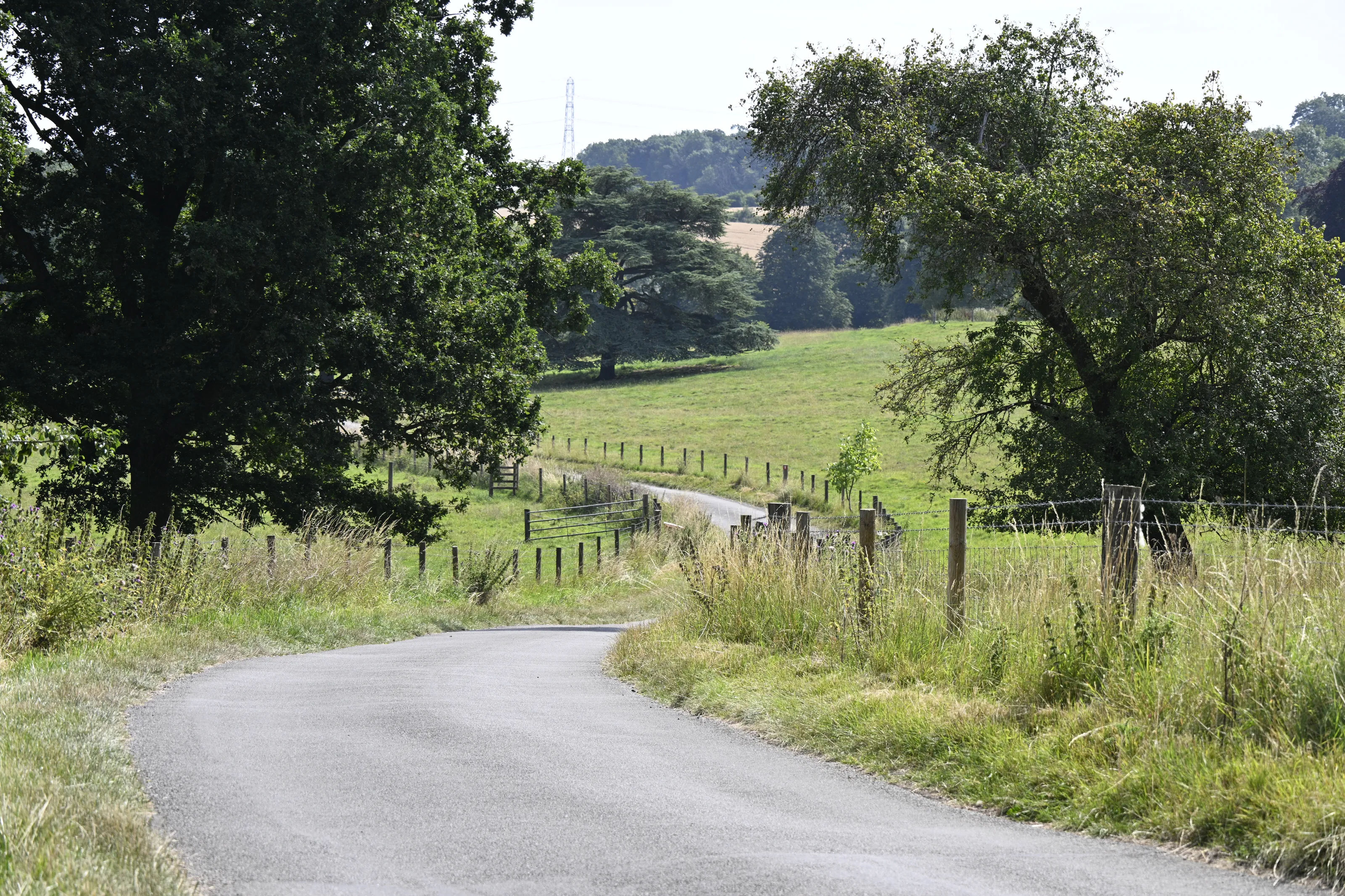 Field Boundaries