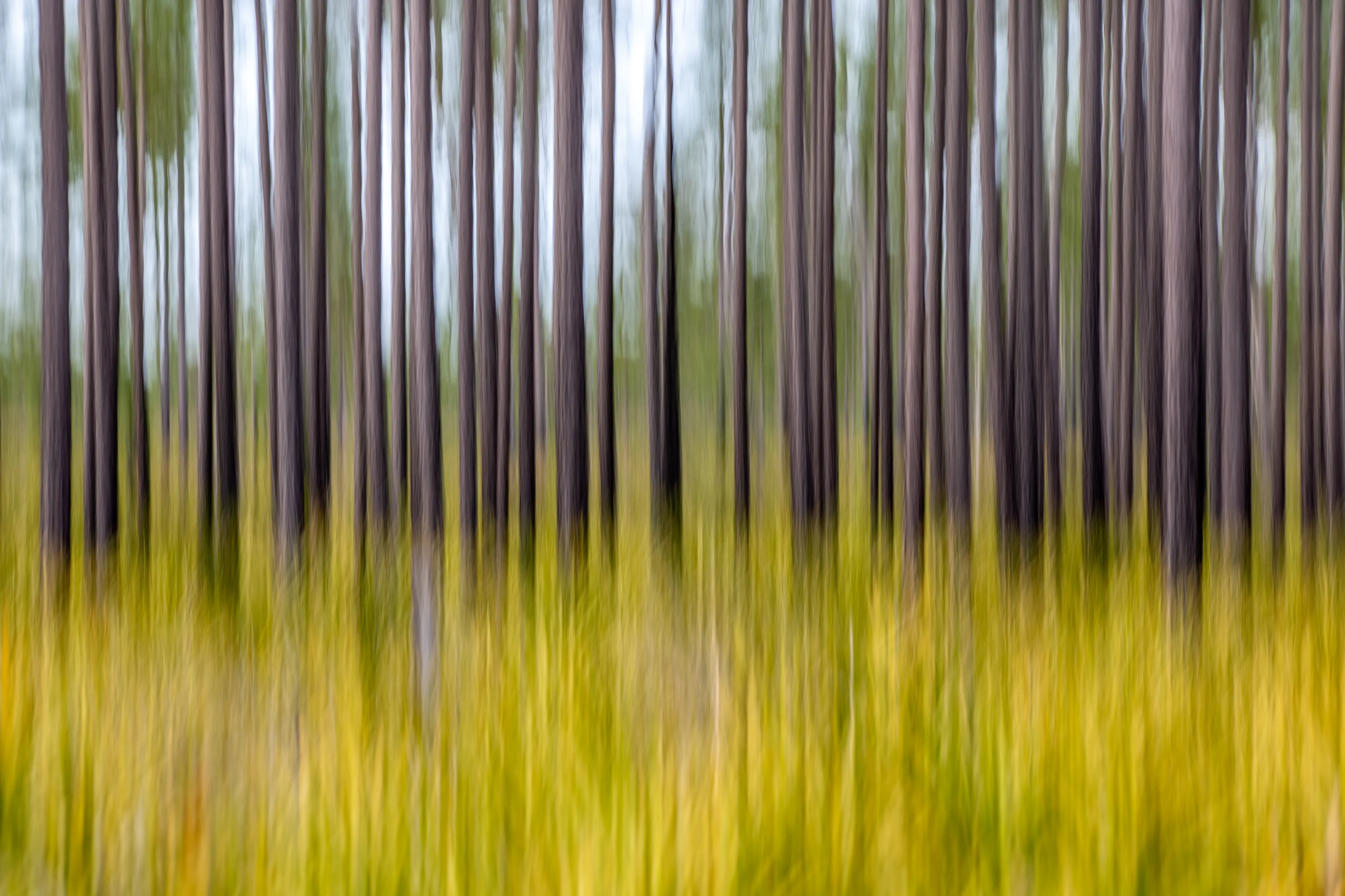 Intentional Camera Movement