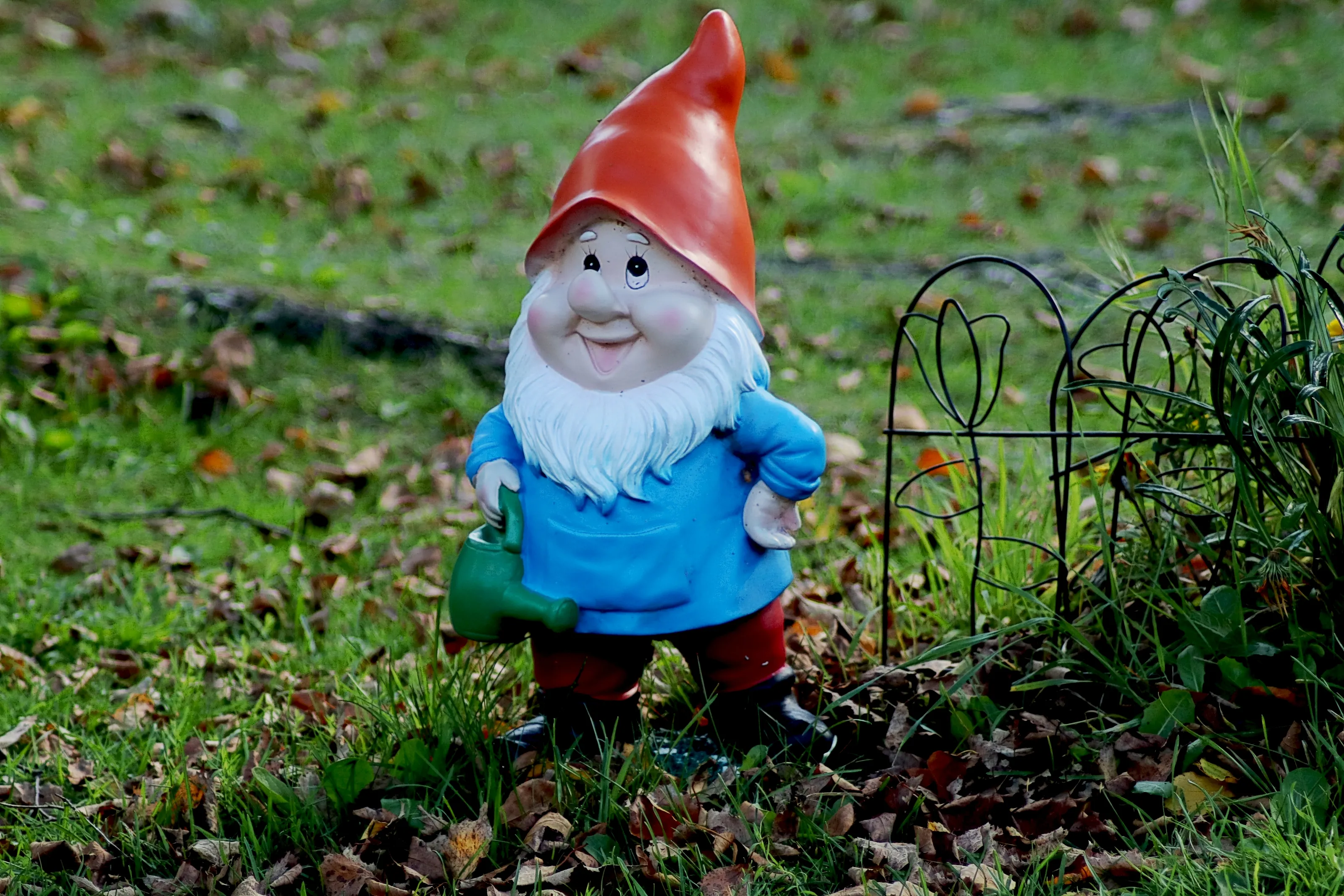 Gnomes