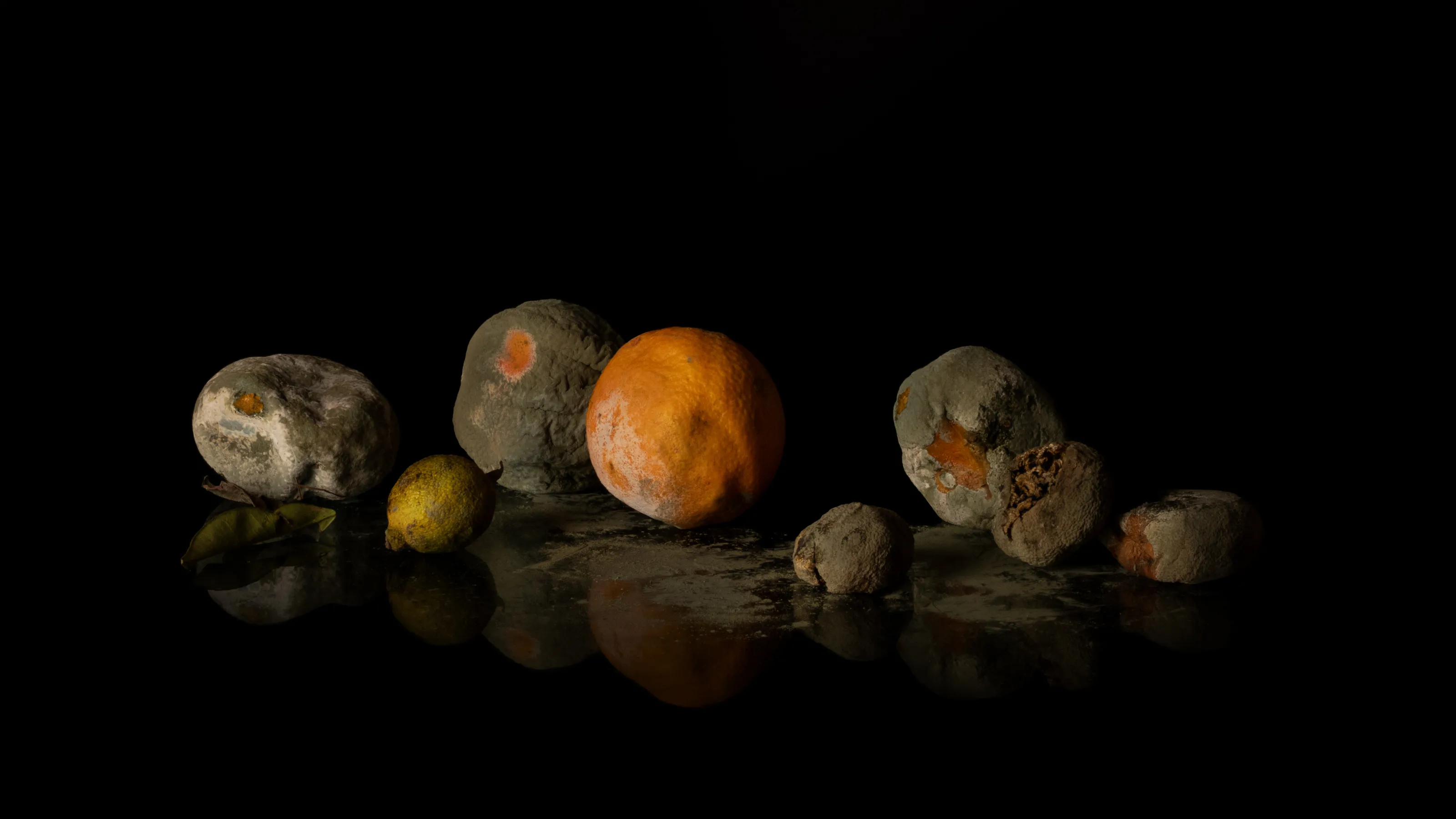 Overripe and Rotten Food