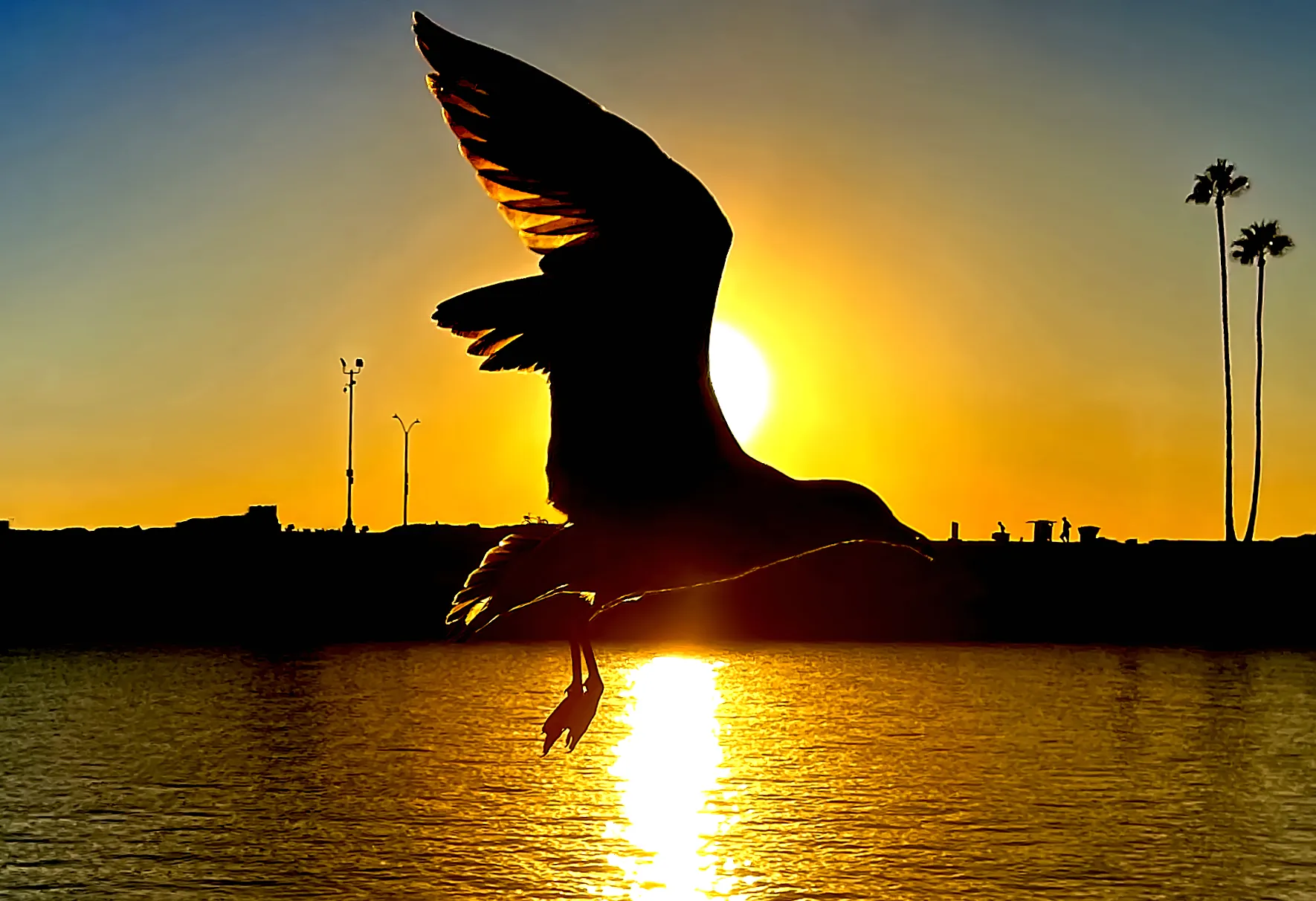 Perfect Timing