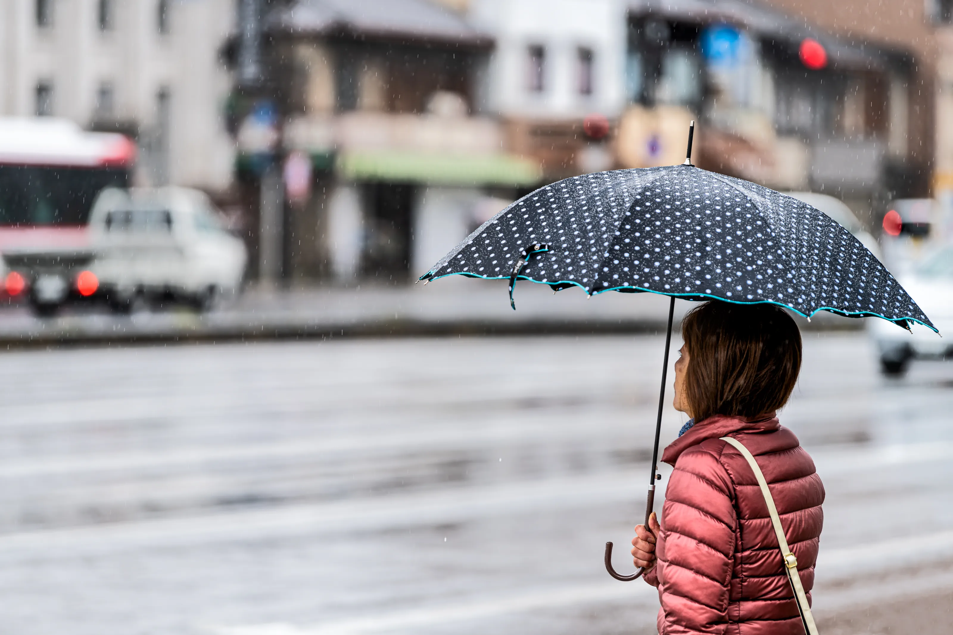 People Holding an Umbrella
