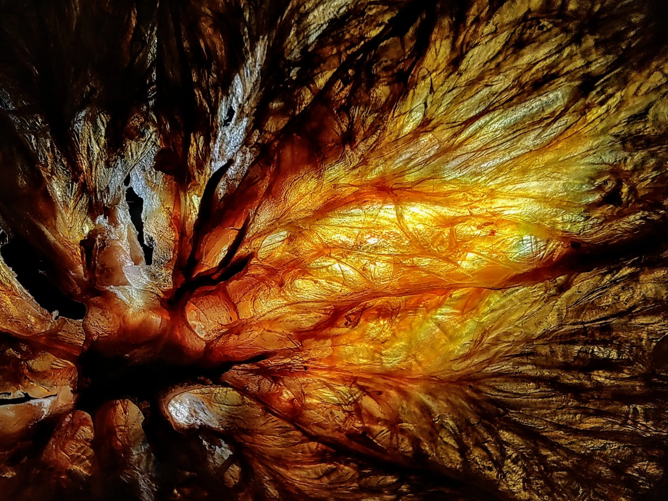 Anything Abstract