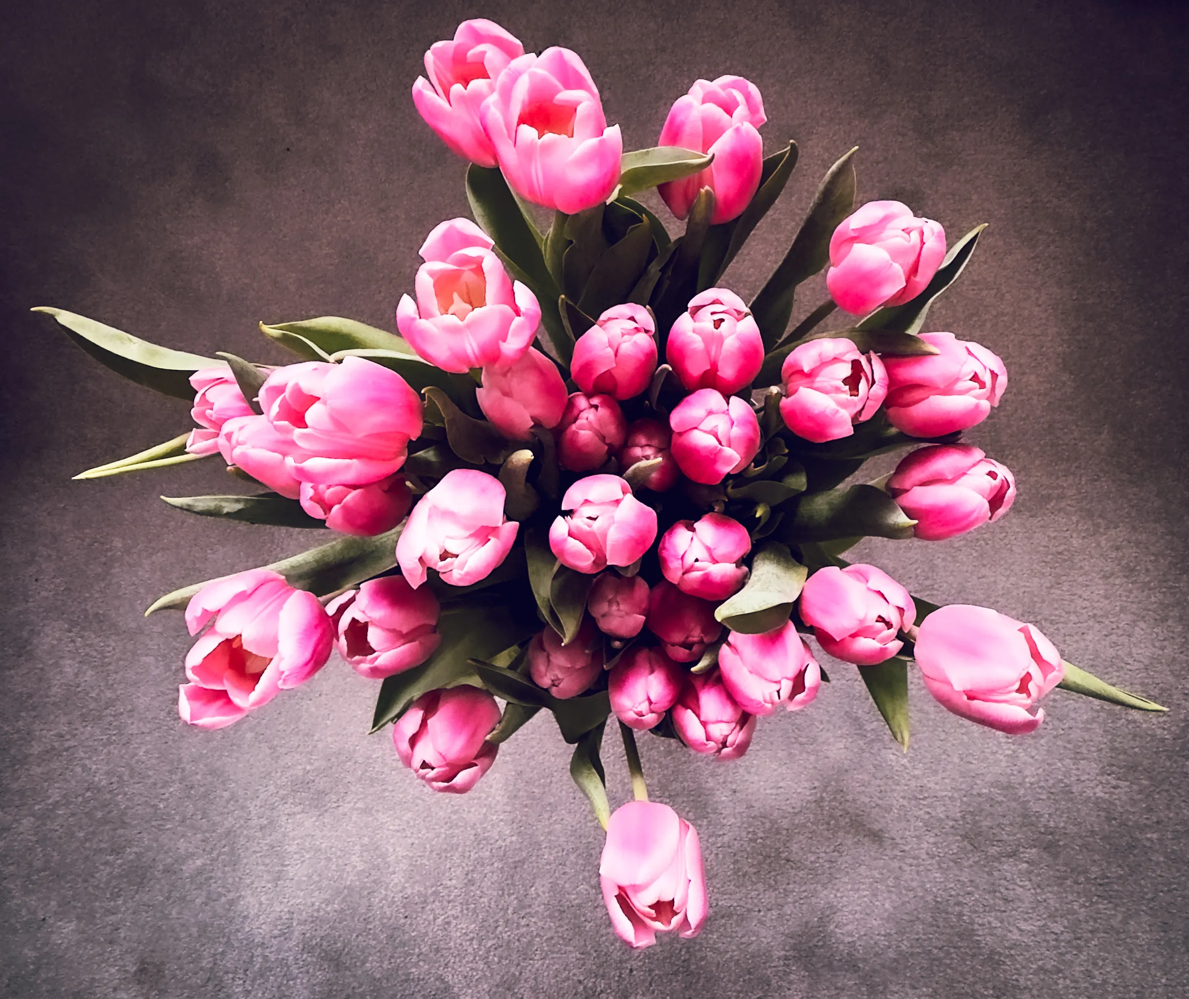 Looking Down on Two or More Flowers