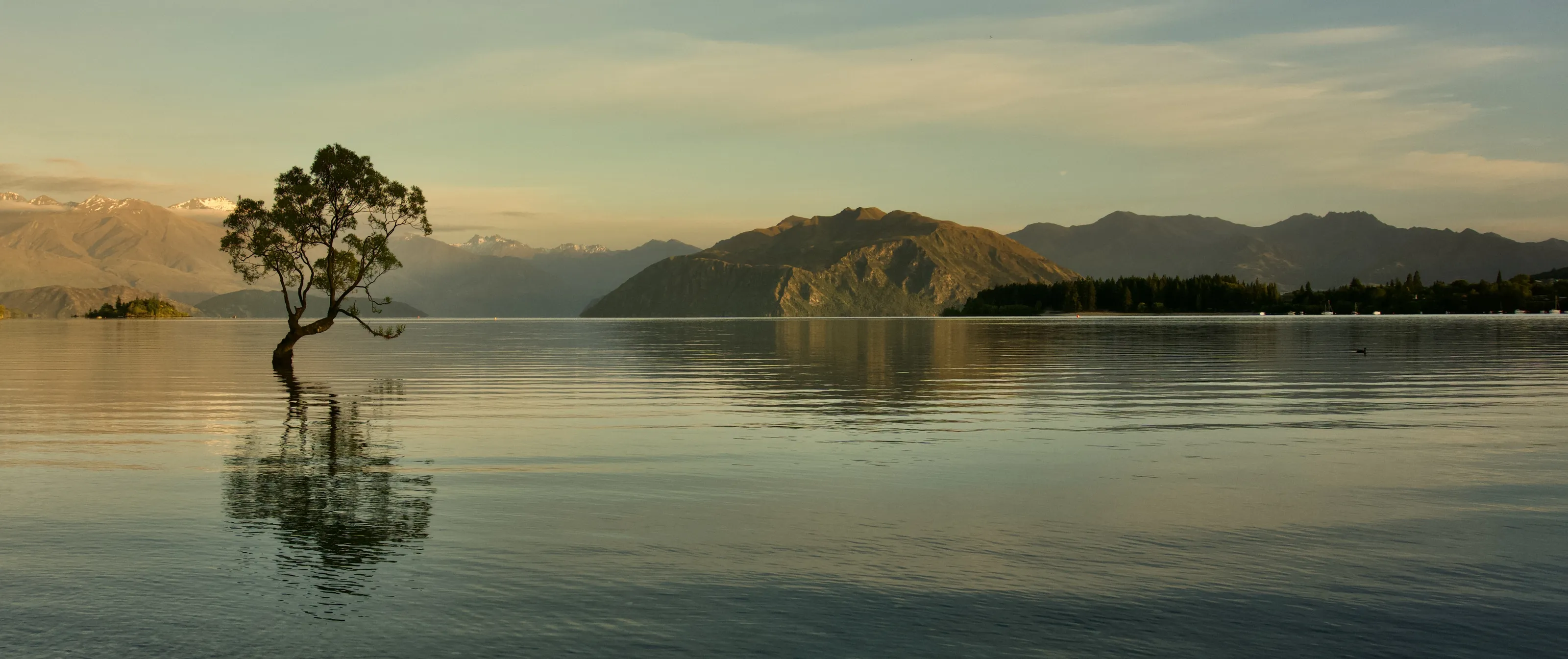 Landscapes in Panorama (in colour)