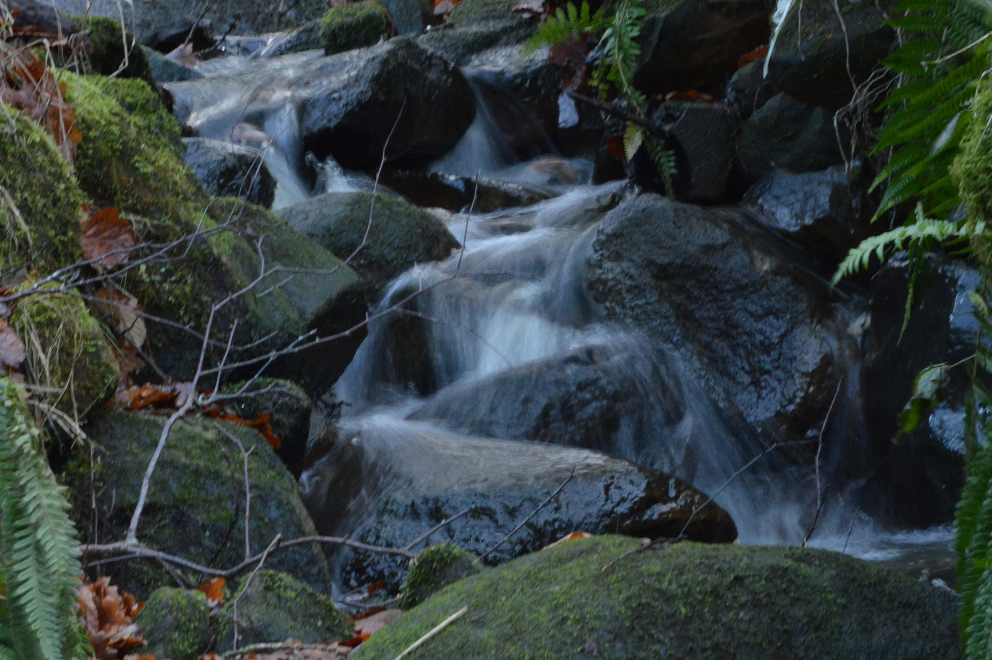 Long Exposure Rivers and Streams