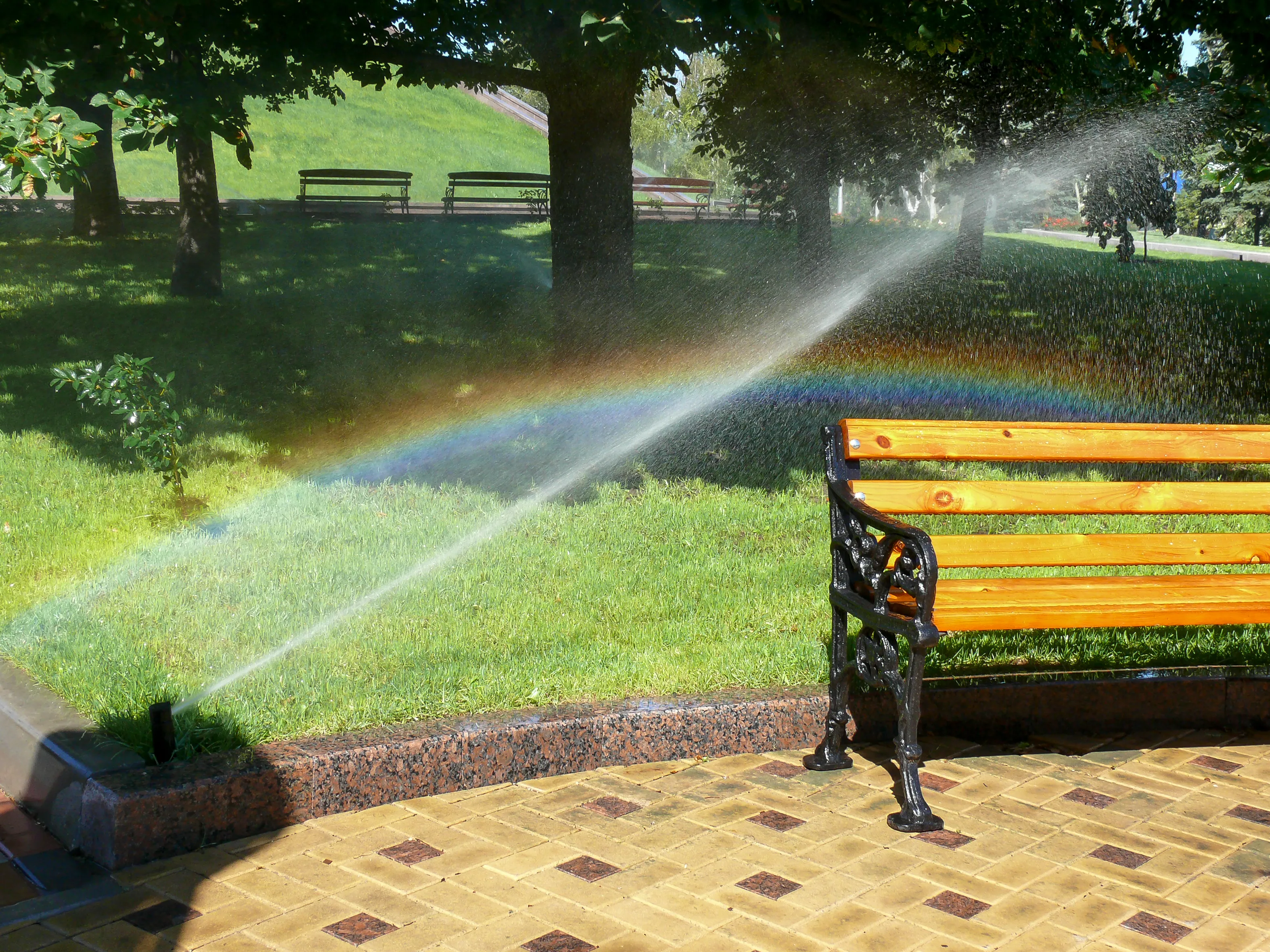 Unexpected Rainbows (not in the sky)