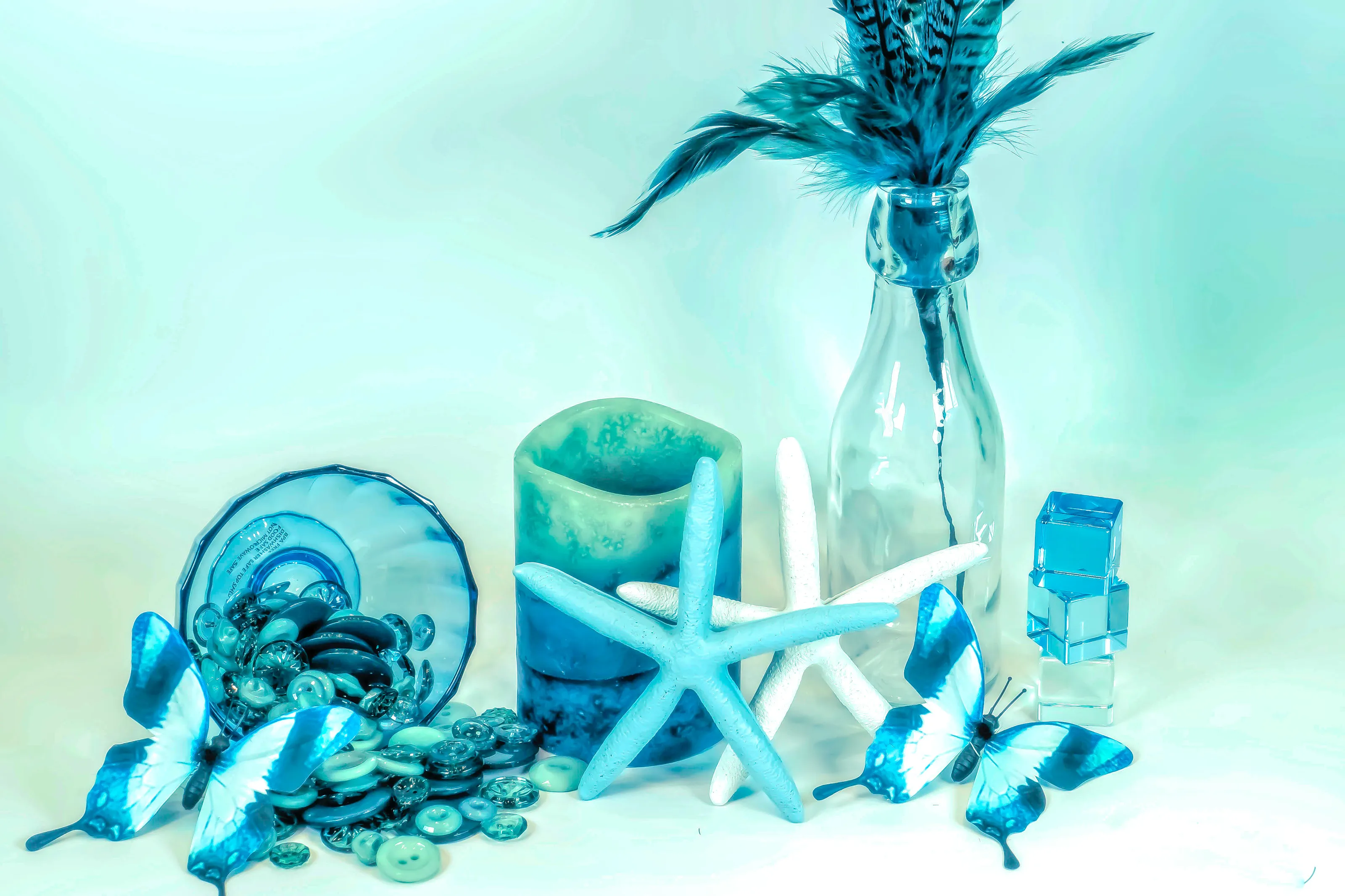Monochromatic Still Life in Colour