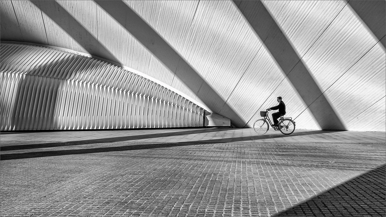 Shadows: Contrasts Between Light and Shade