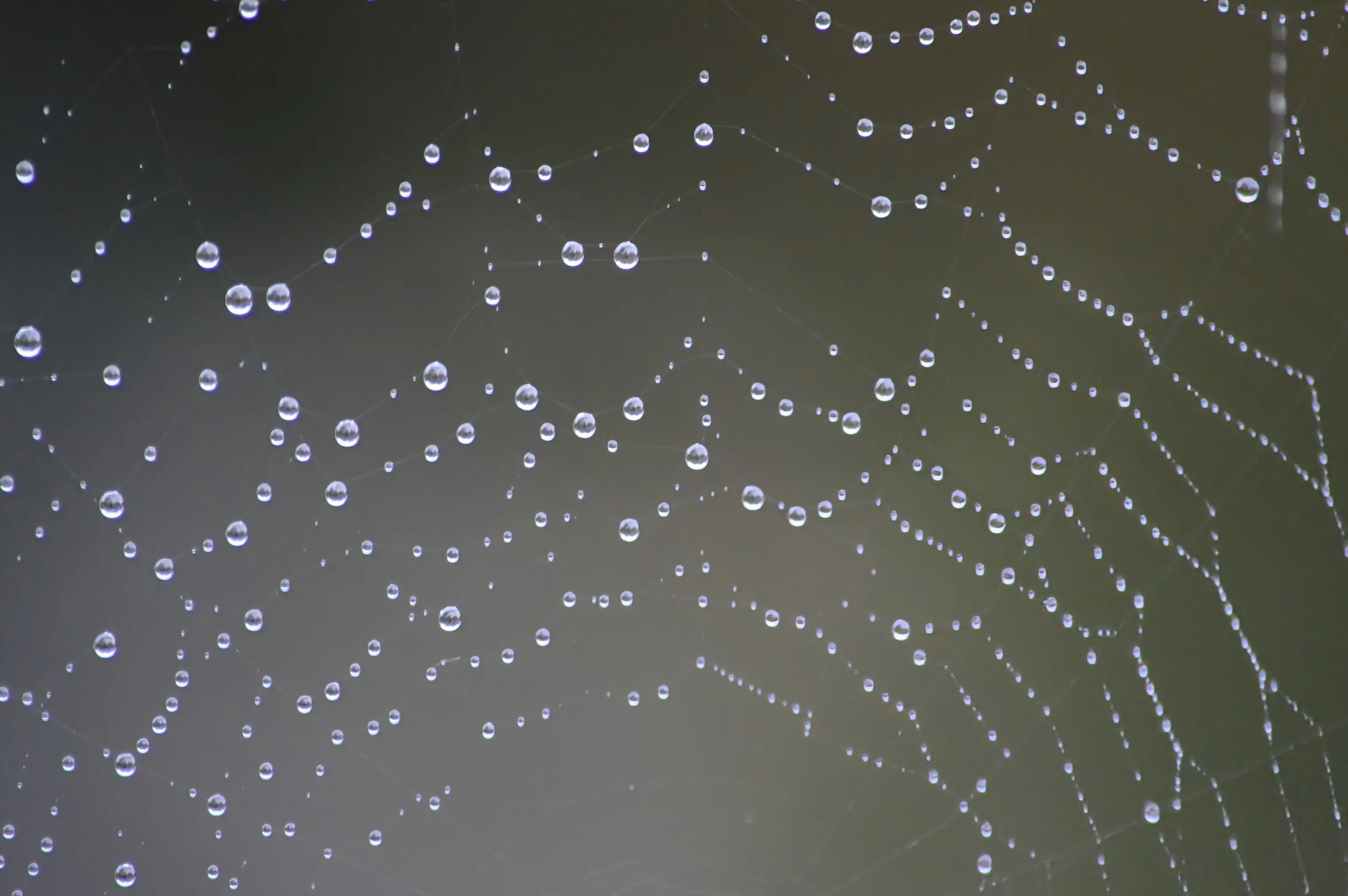 Waterdrops on Surfaces