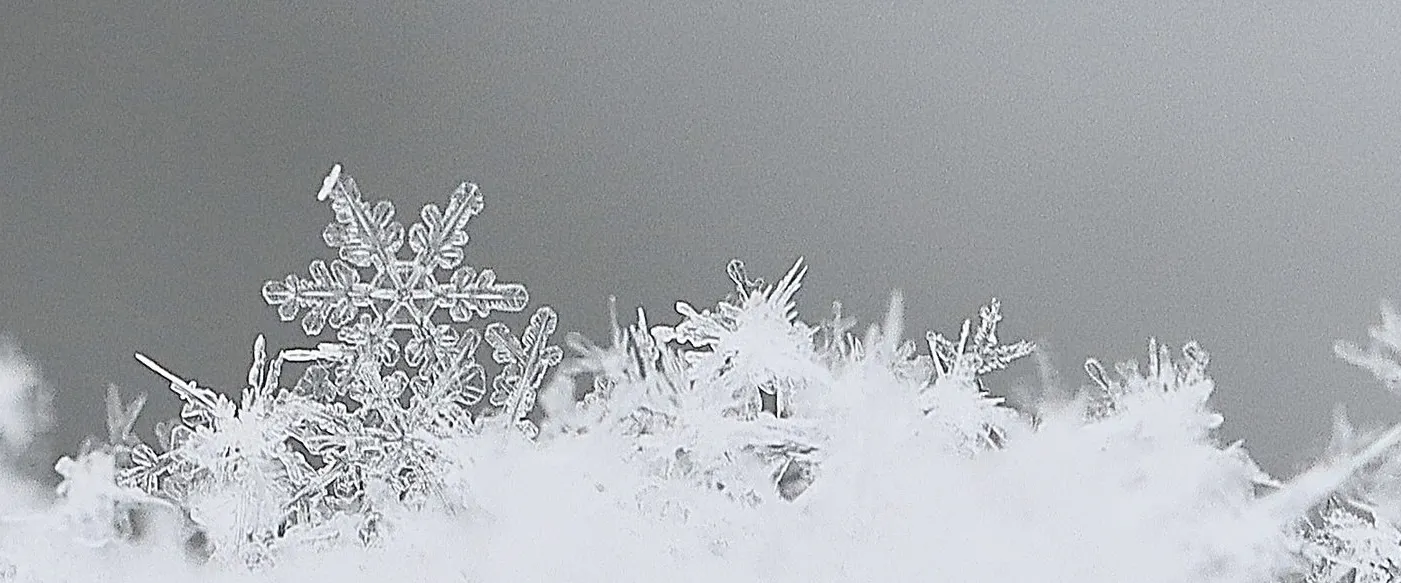 Snowflakes