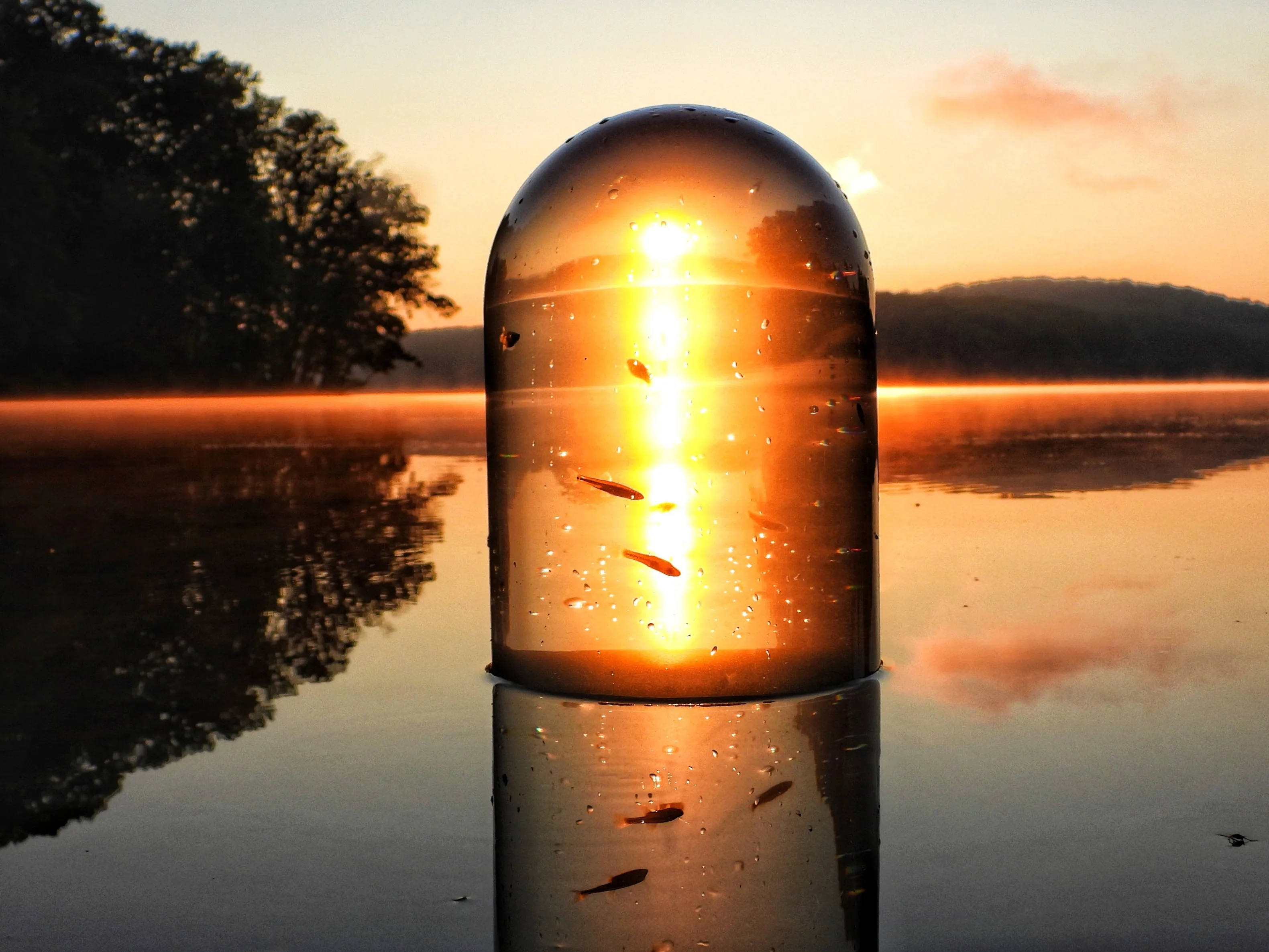 Distorted Through Glass