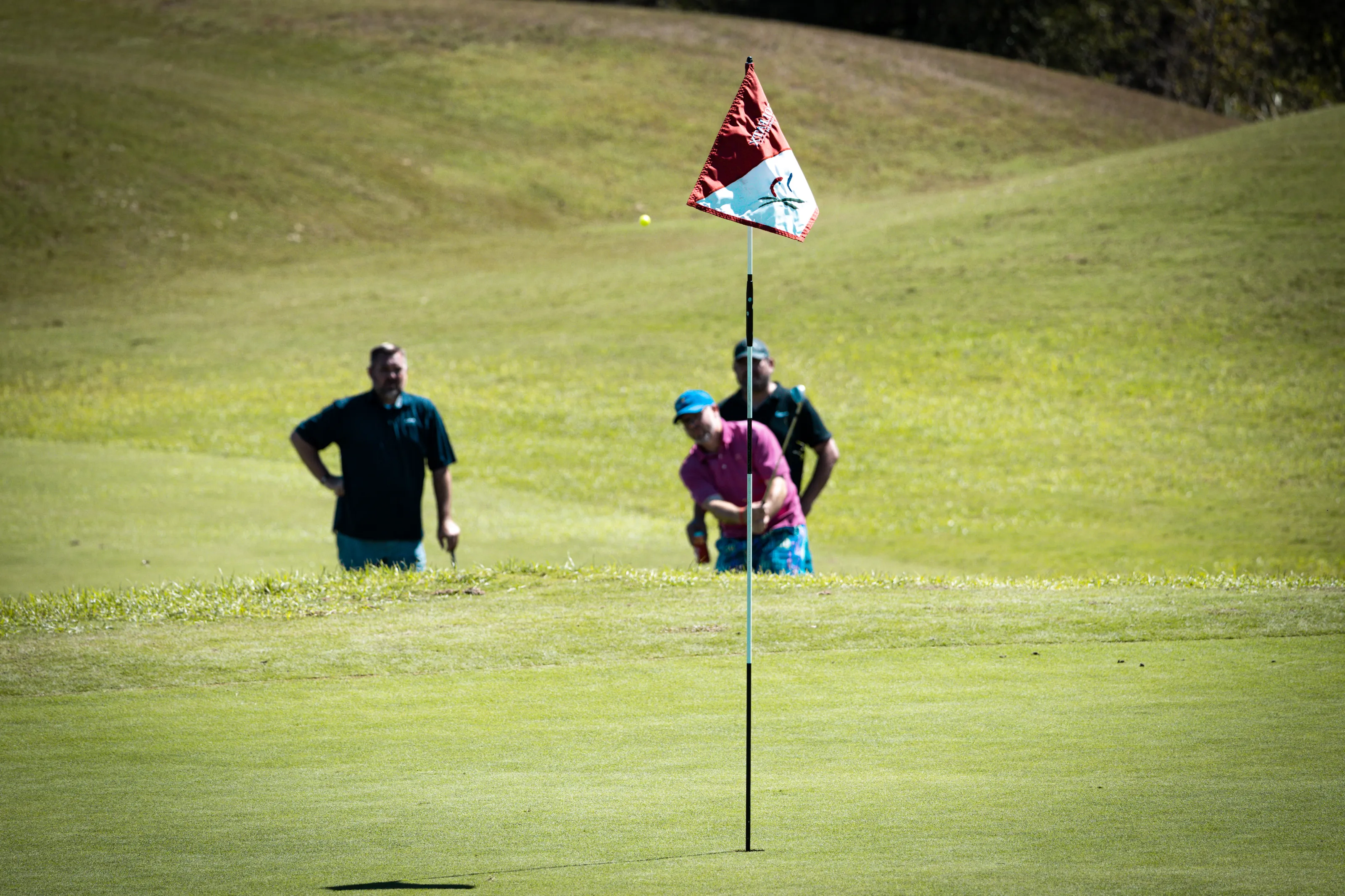 People Playing Golf