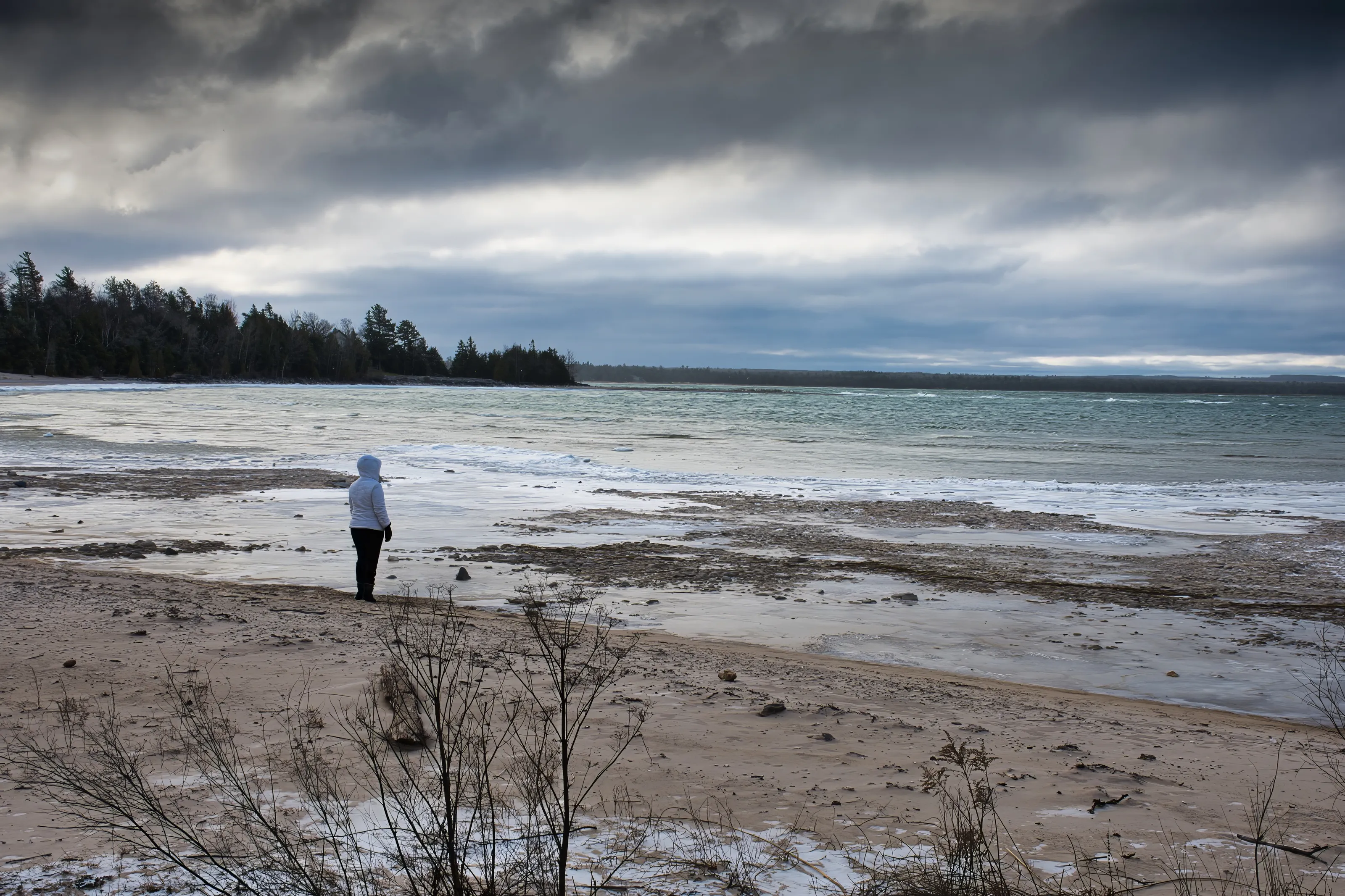 One Person or Animal Alone on a Beach