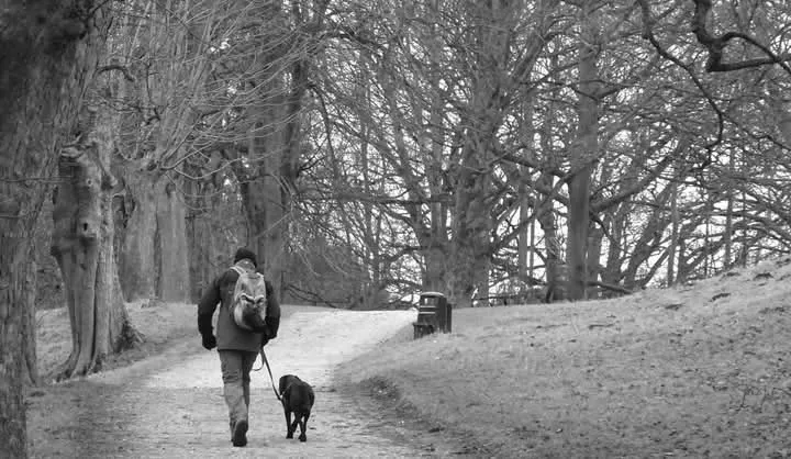 People Walking in Nature in Black and White