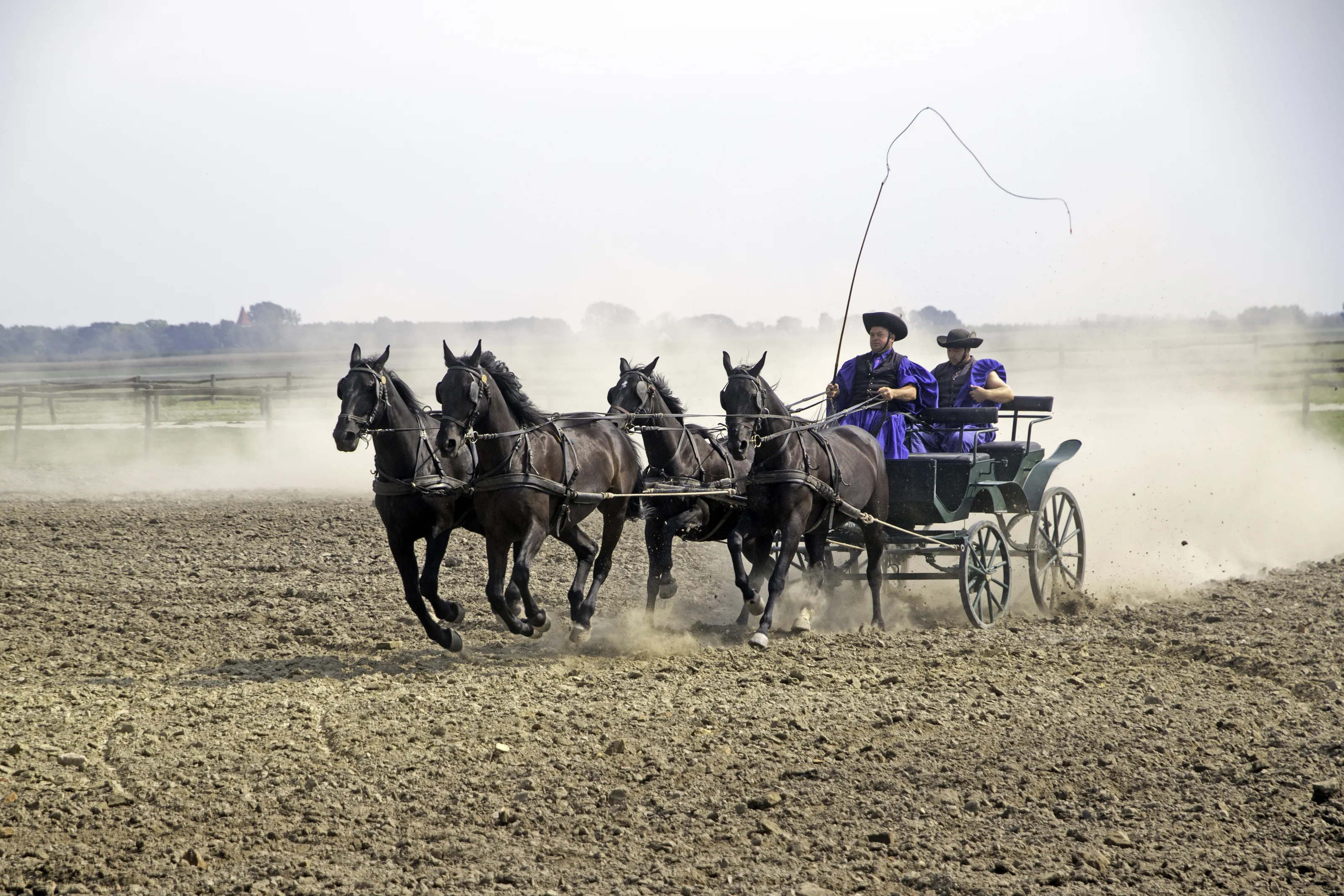 Horse-Drawn Carriages