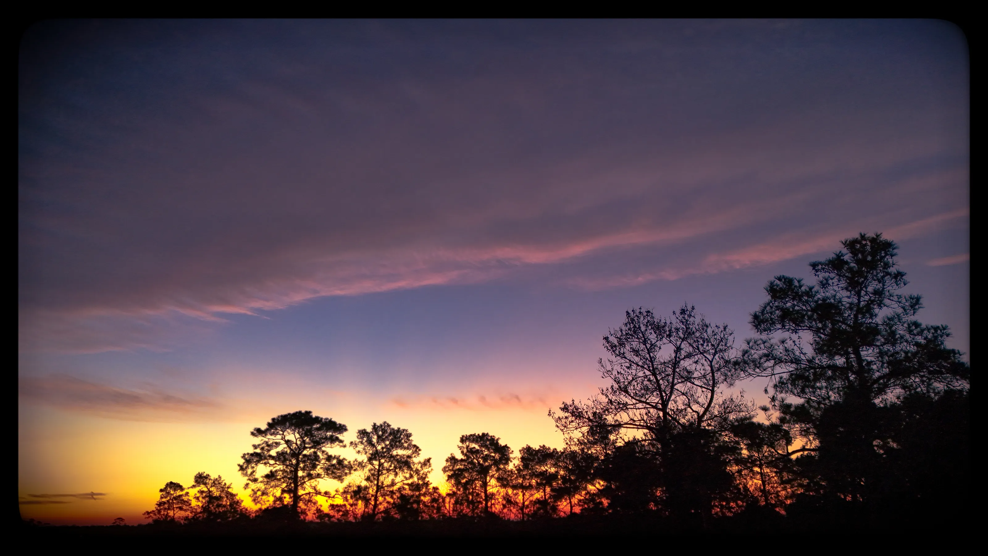The Sky Above Trees (in colour)