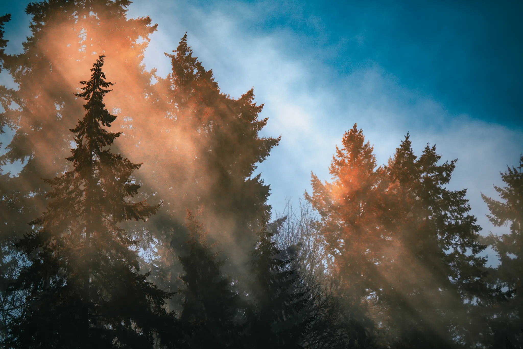 Sunbeams and Sunrays