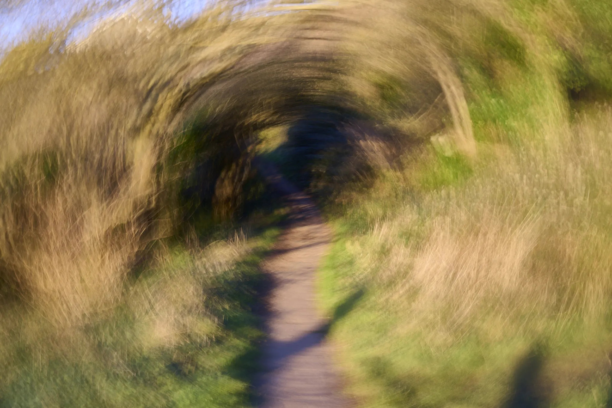 Intentional Camera Movement (not editing effects)