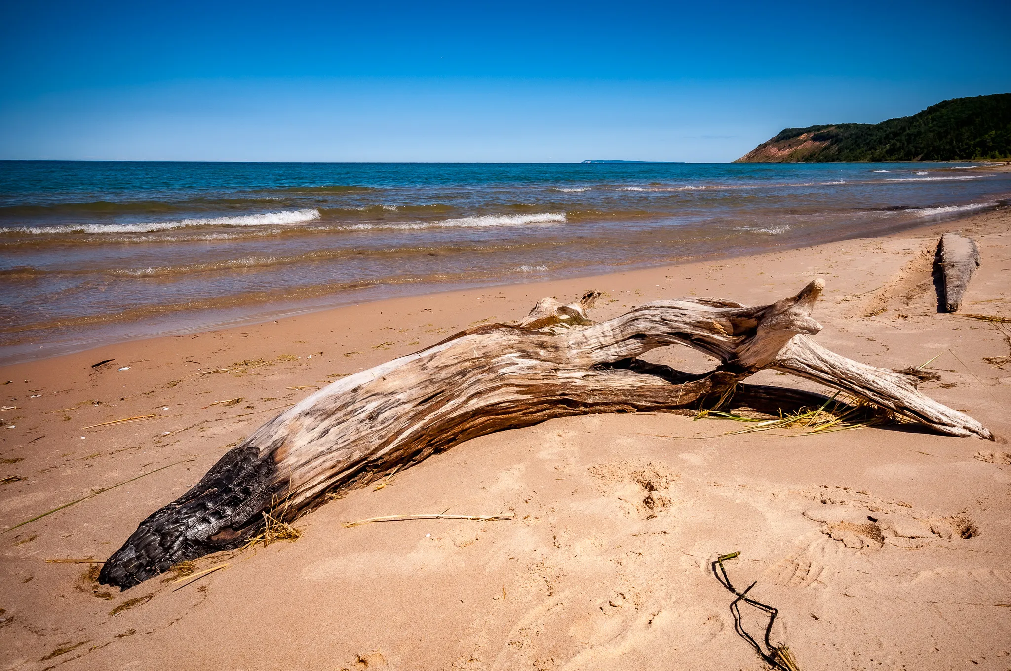 Driftwood by Water