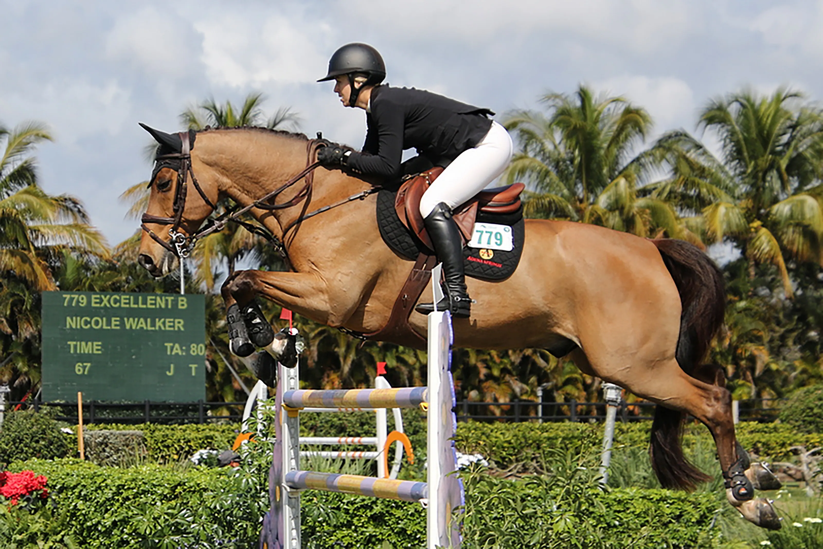 Horses Jumping