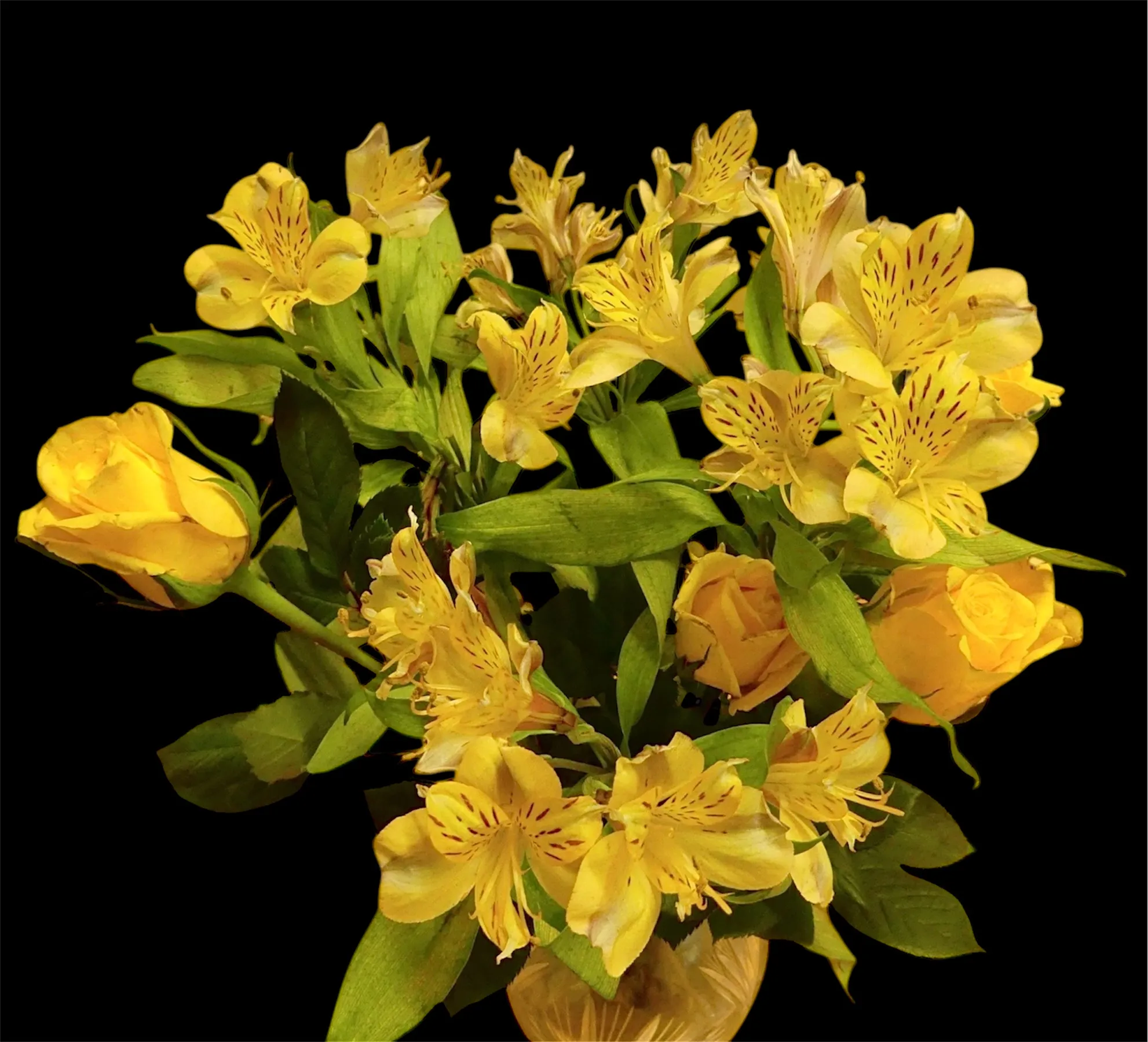 Flowers of the Same Colour (in colour)