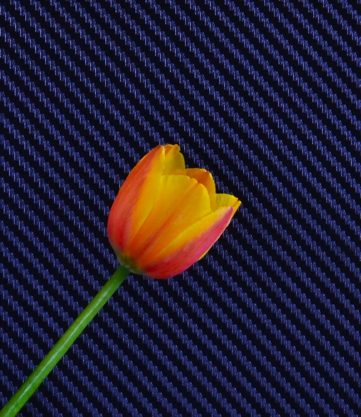 Natural Subjects that are Both Yellow and Red