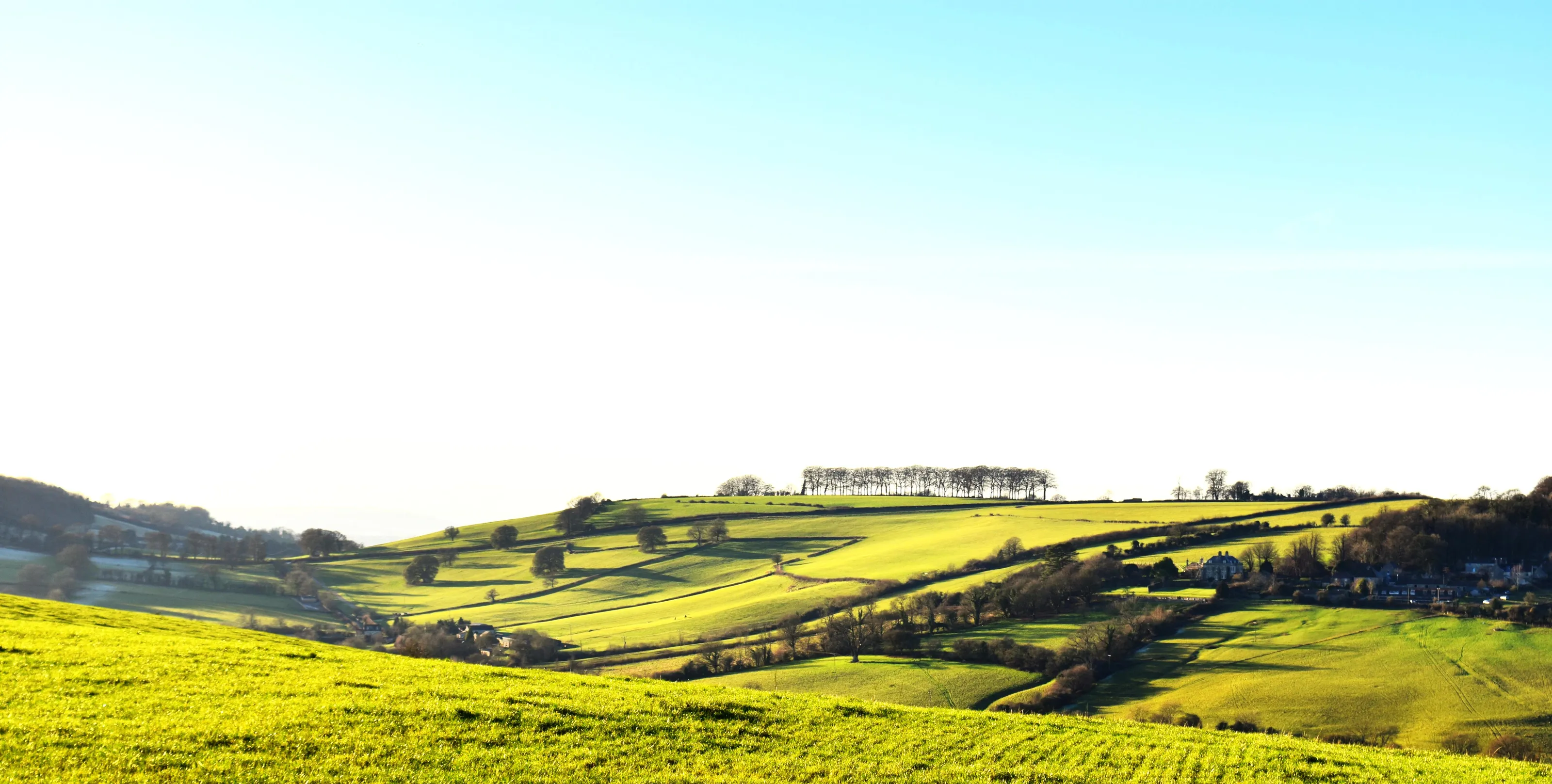 Landscapes with Green Fields (in colour)