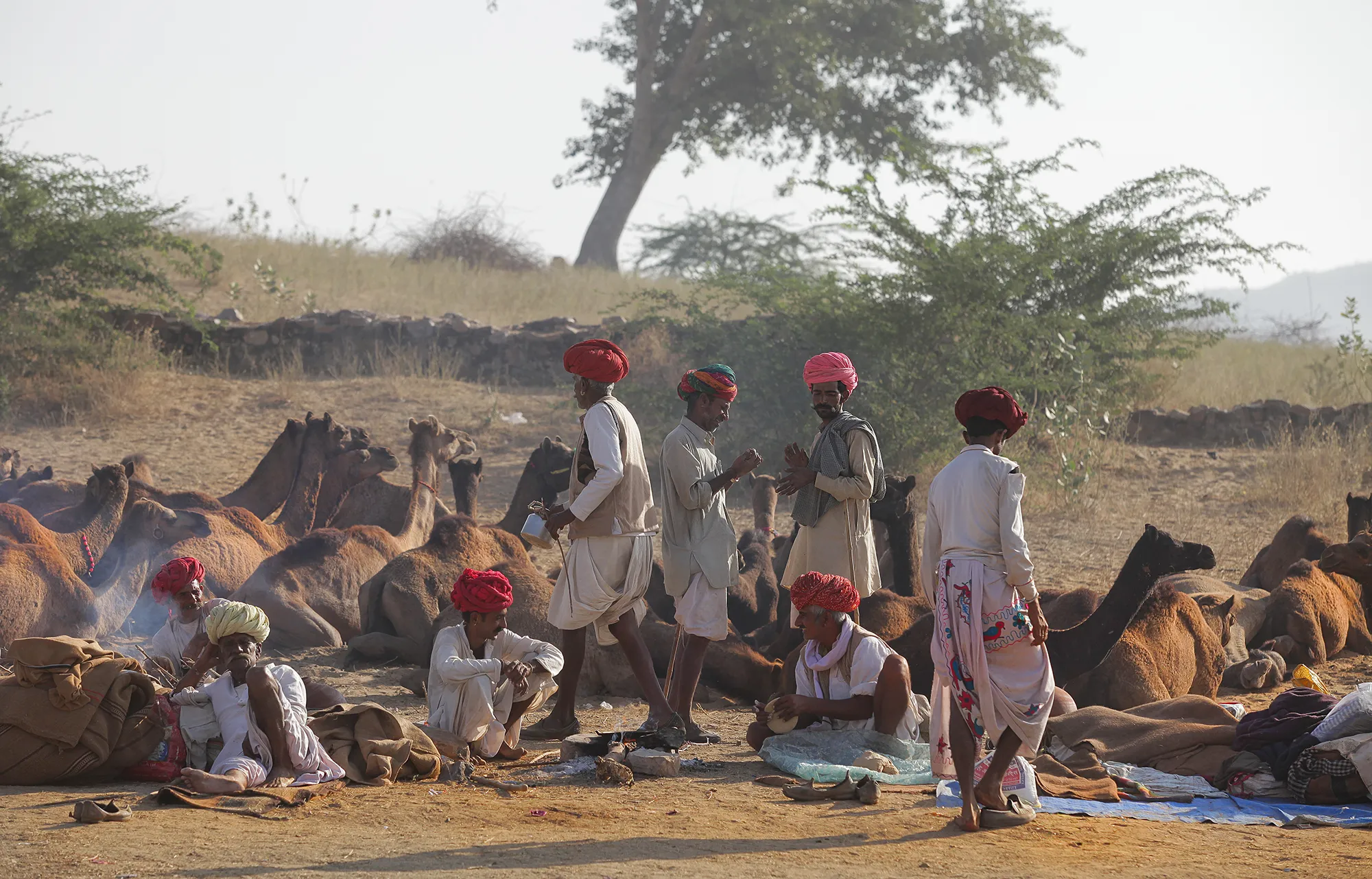 Groups of People from the Front and Back