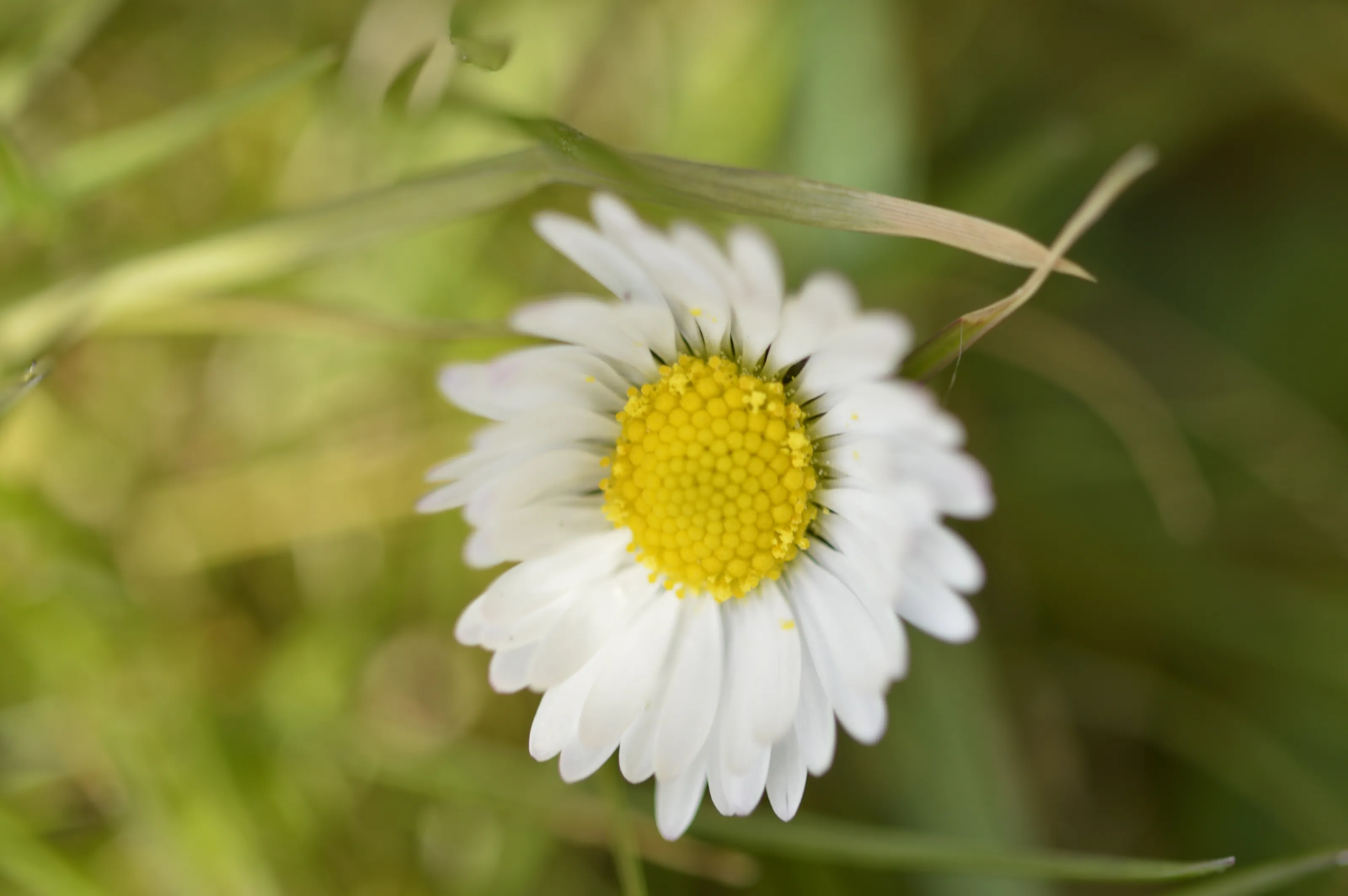 Signs of Spring