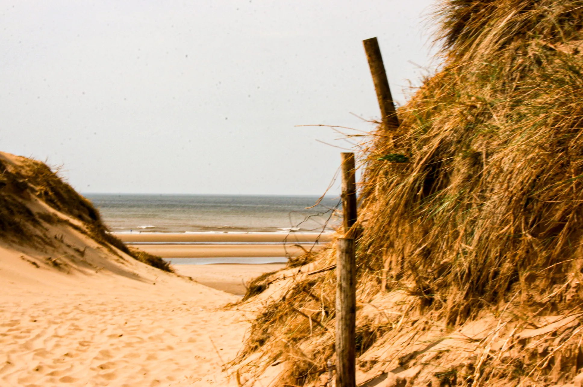 Sandy Beaches with the Sea in View (in colour)