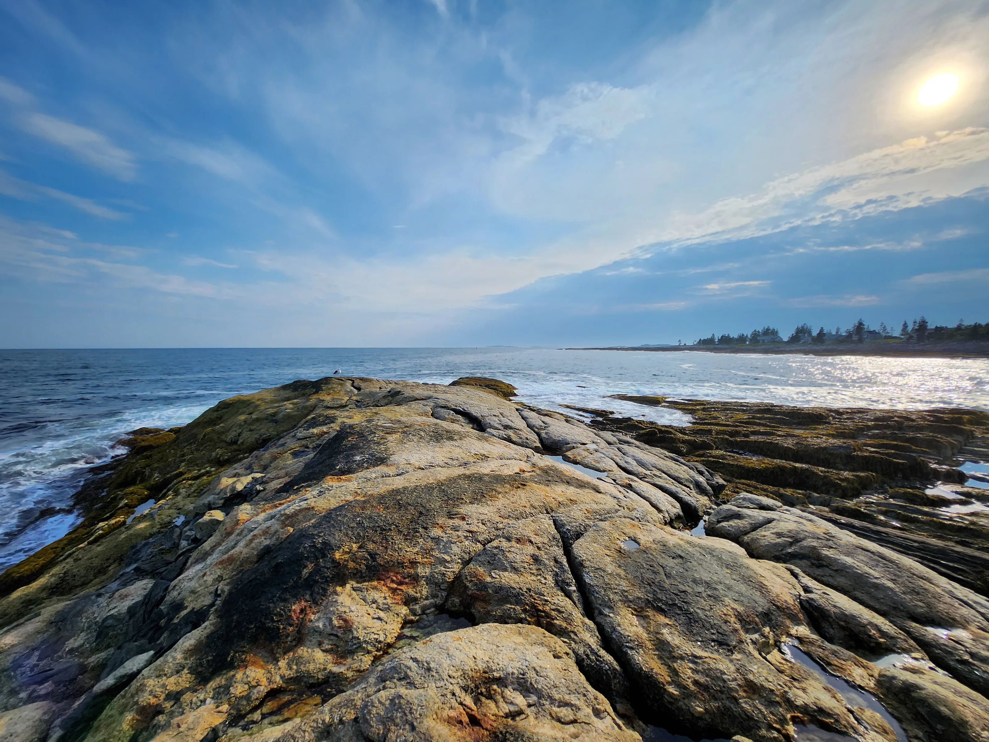Coastal Landscapes (in colour)