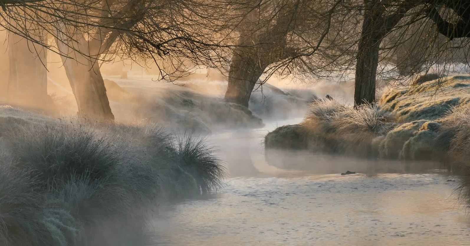 Landscapes with water