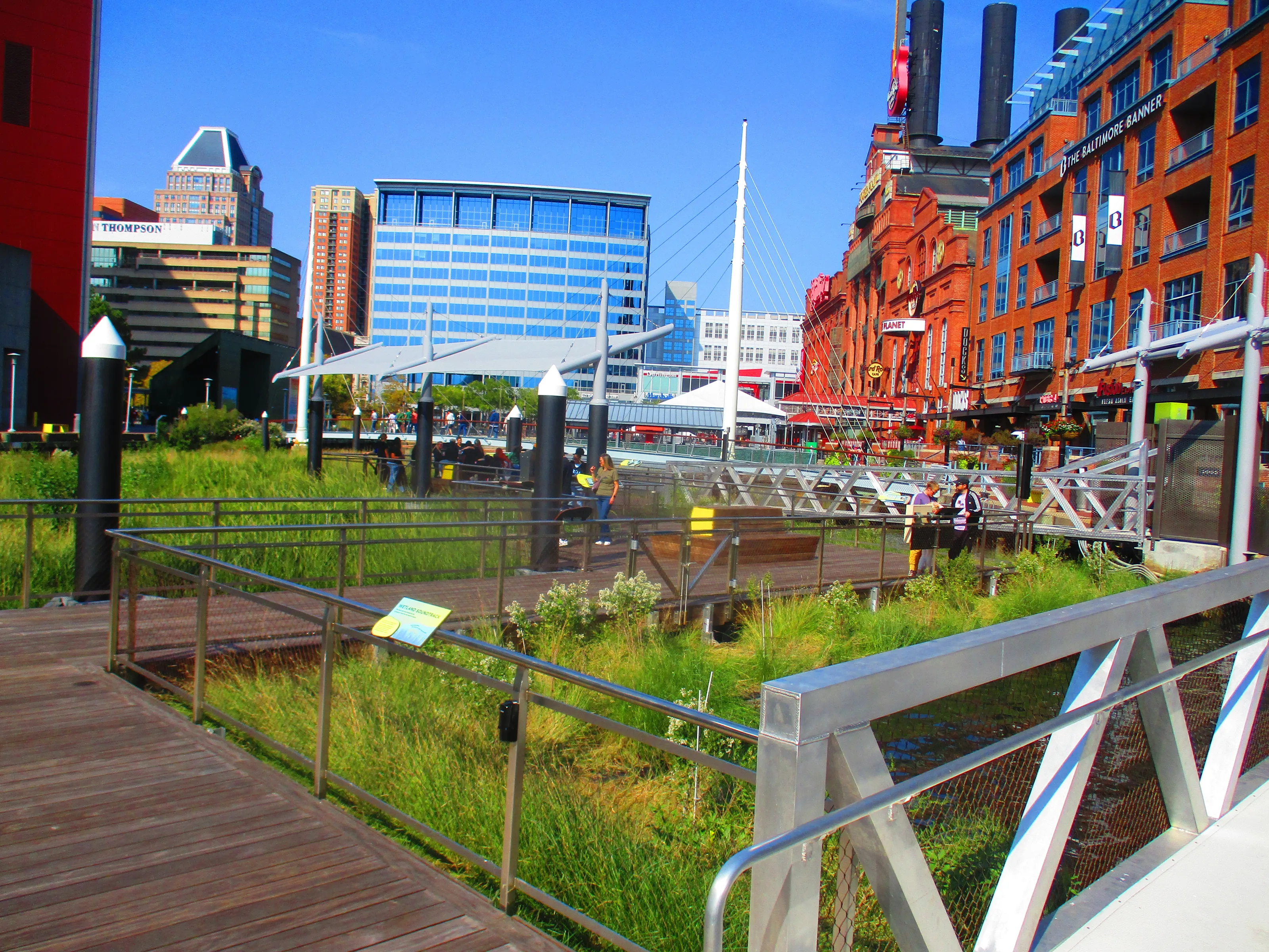 Nature in an Urban Area