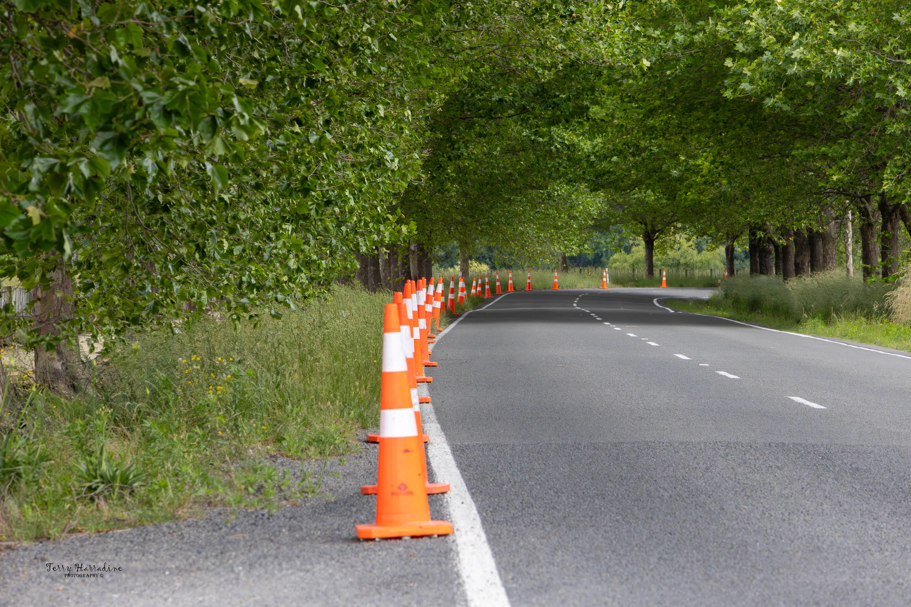 Traffic Cones