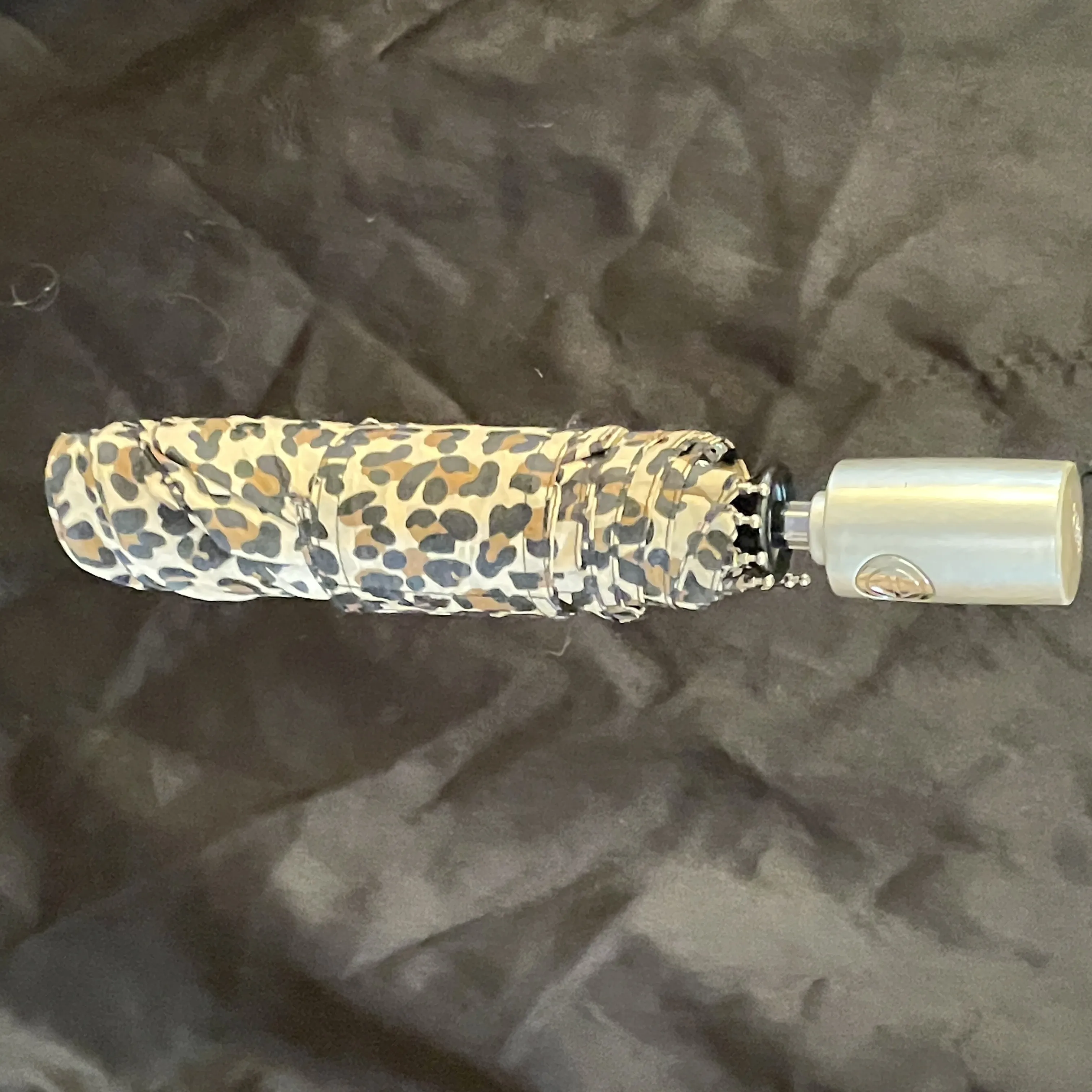 Umbrellas (in colour)