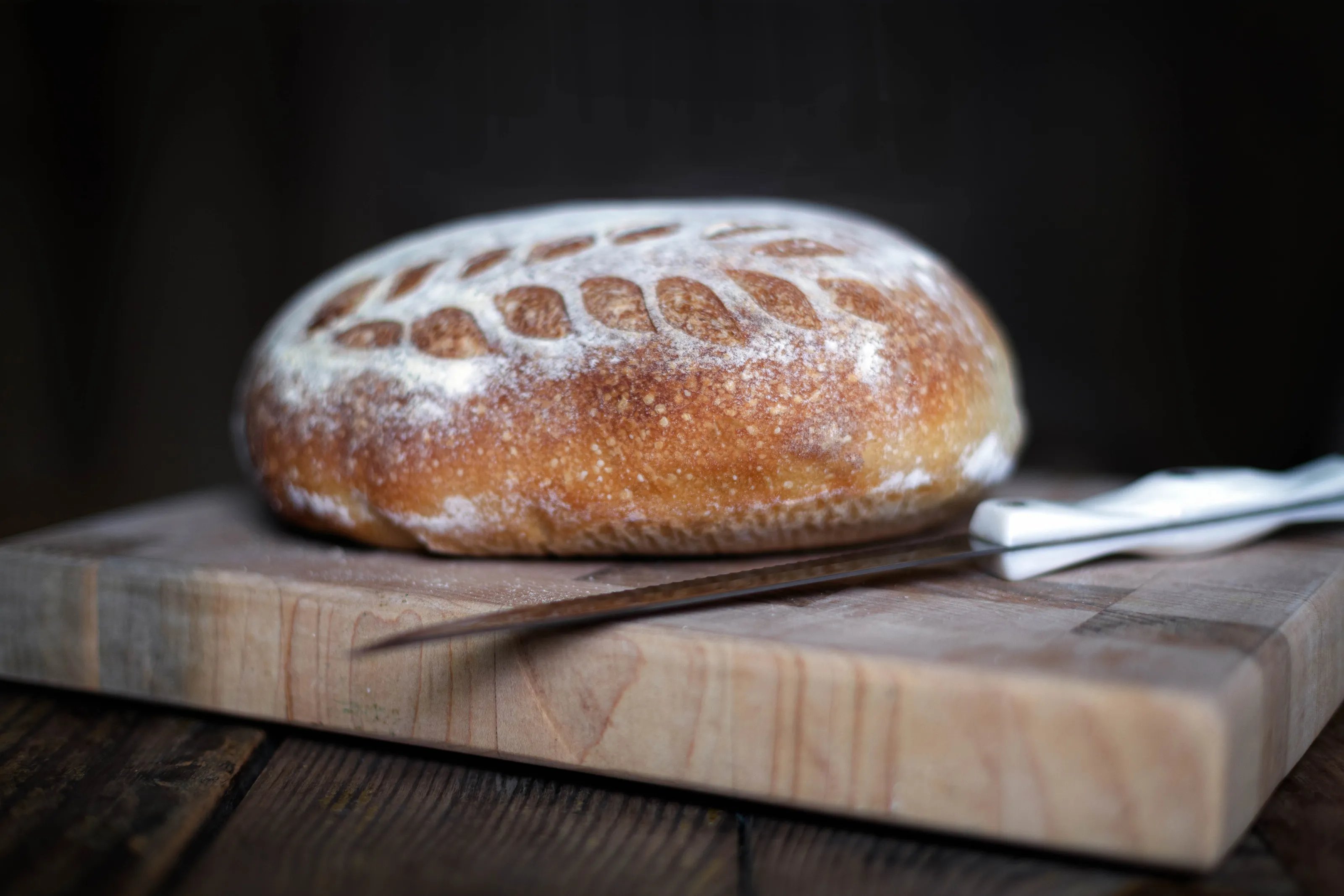 Bread (in colour)