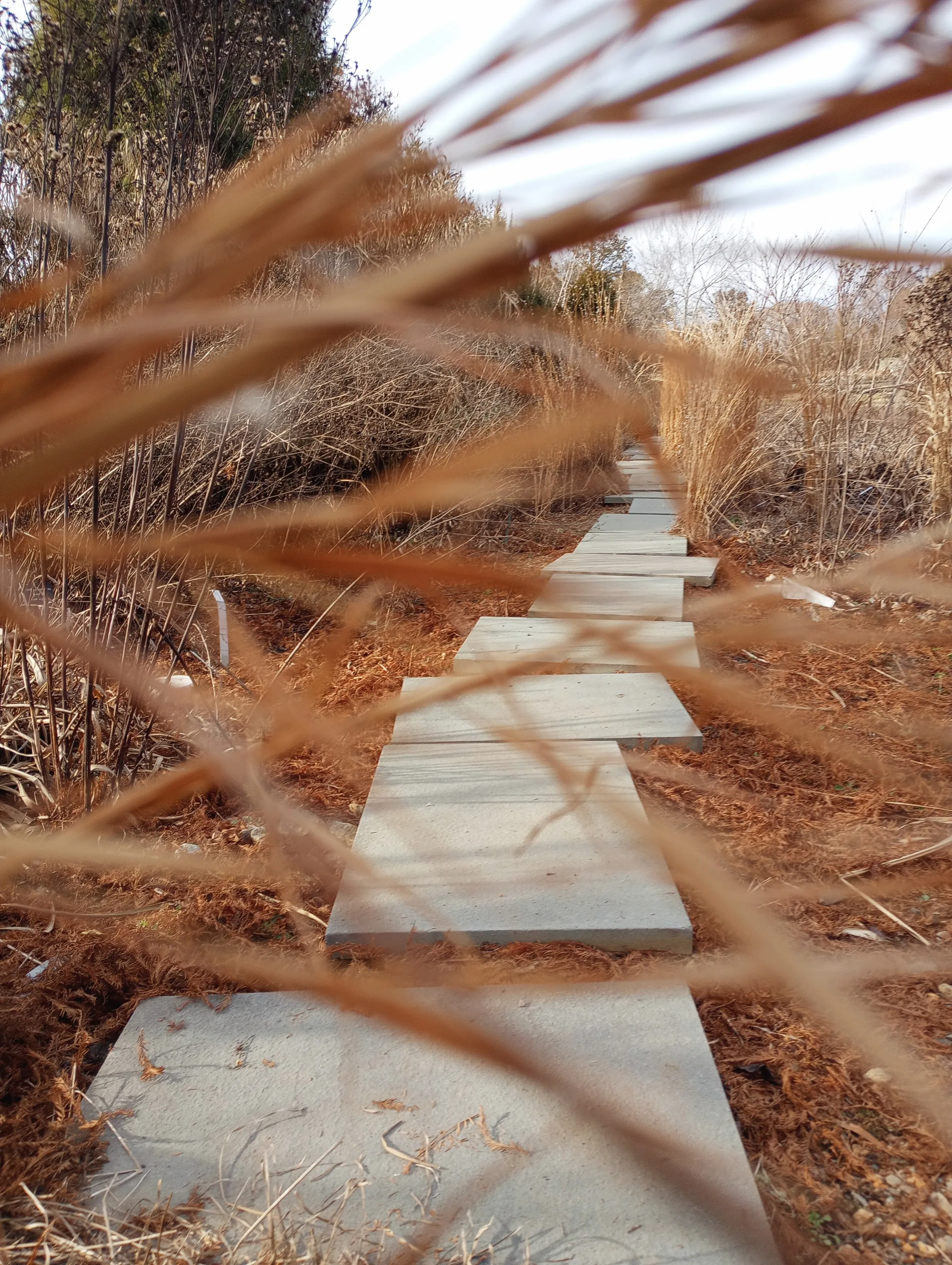 Walking Pathways