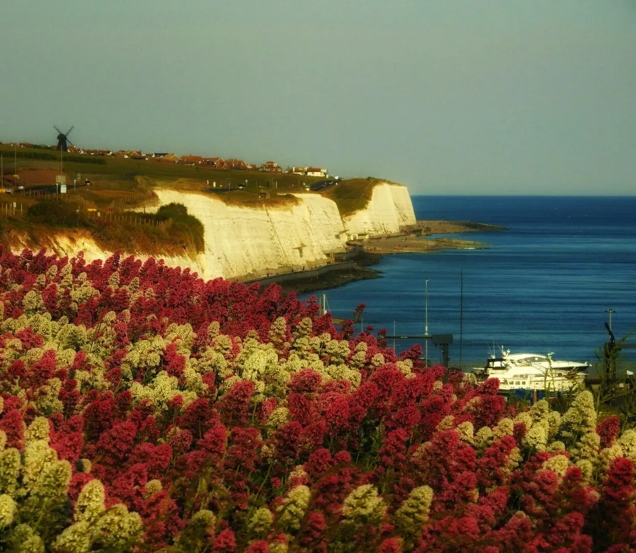 Coastal Landscapes