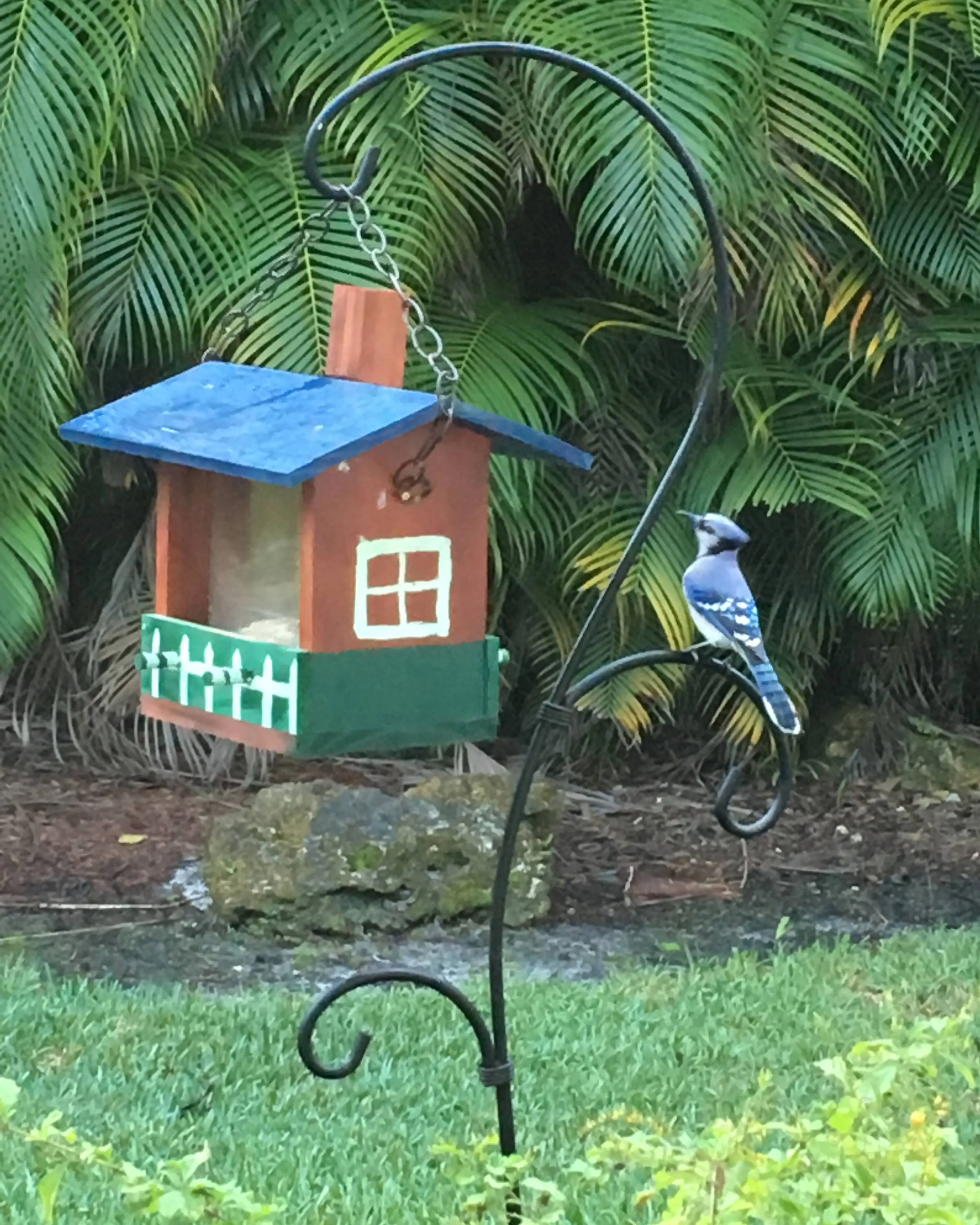 Manmade Birdhouses and Bird Feeders with Birds