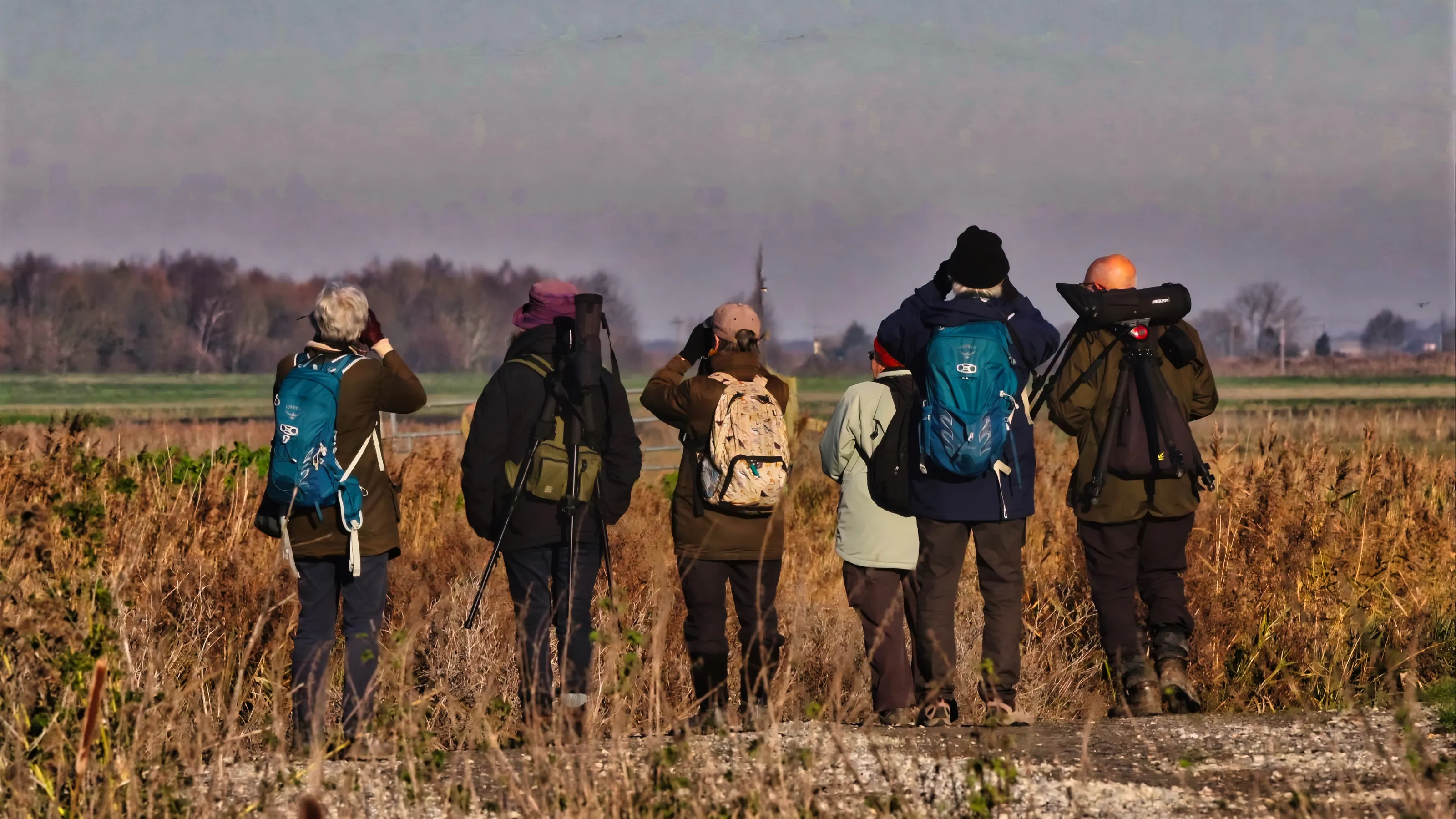 People Birdwatching