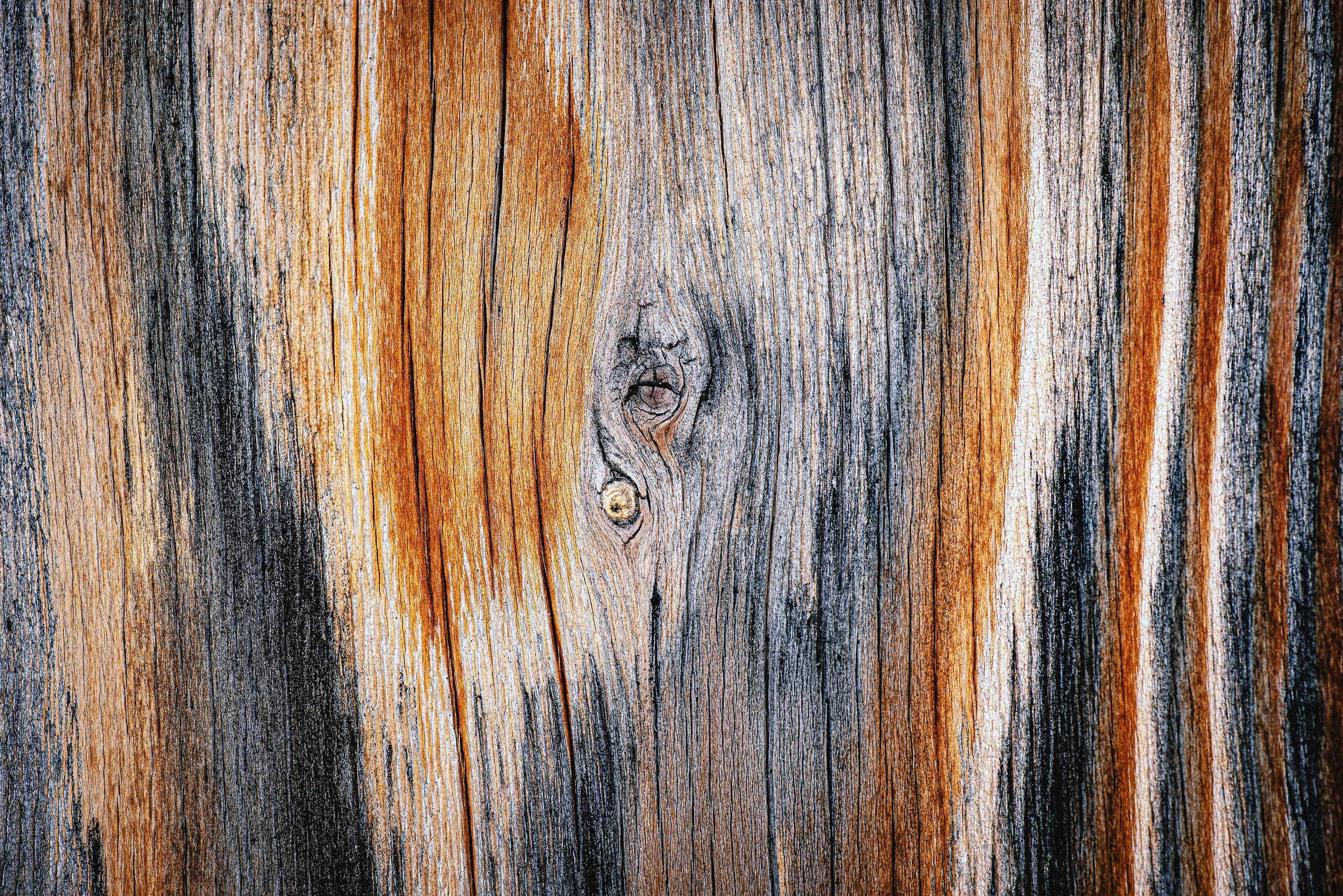 Patterns and Textures of Wood (in colour)